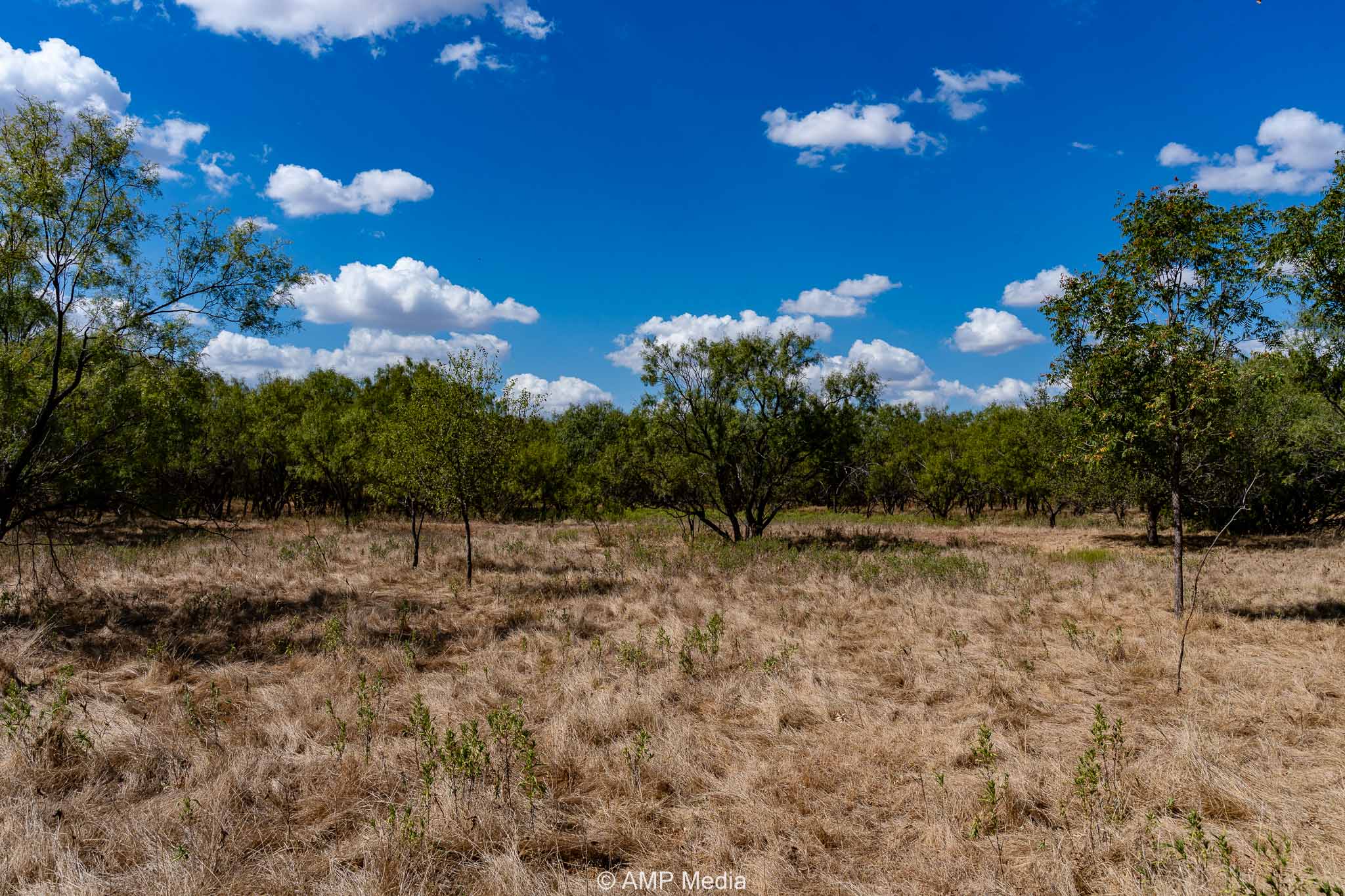 Property Photo 55 Property photograph 55