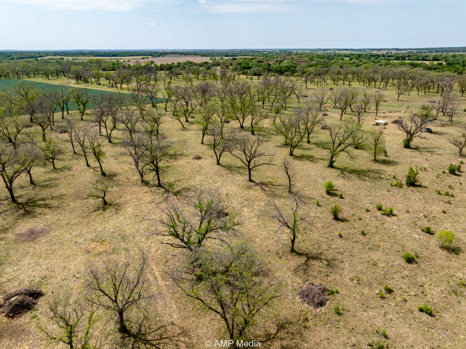 Property Photo 57 Property photograph 57