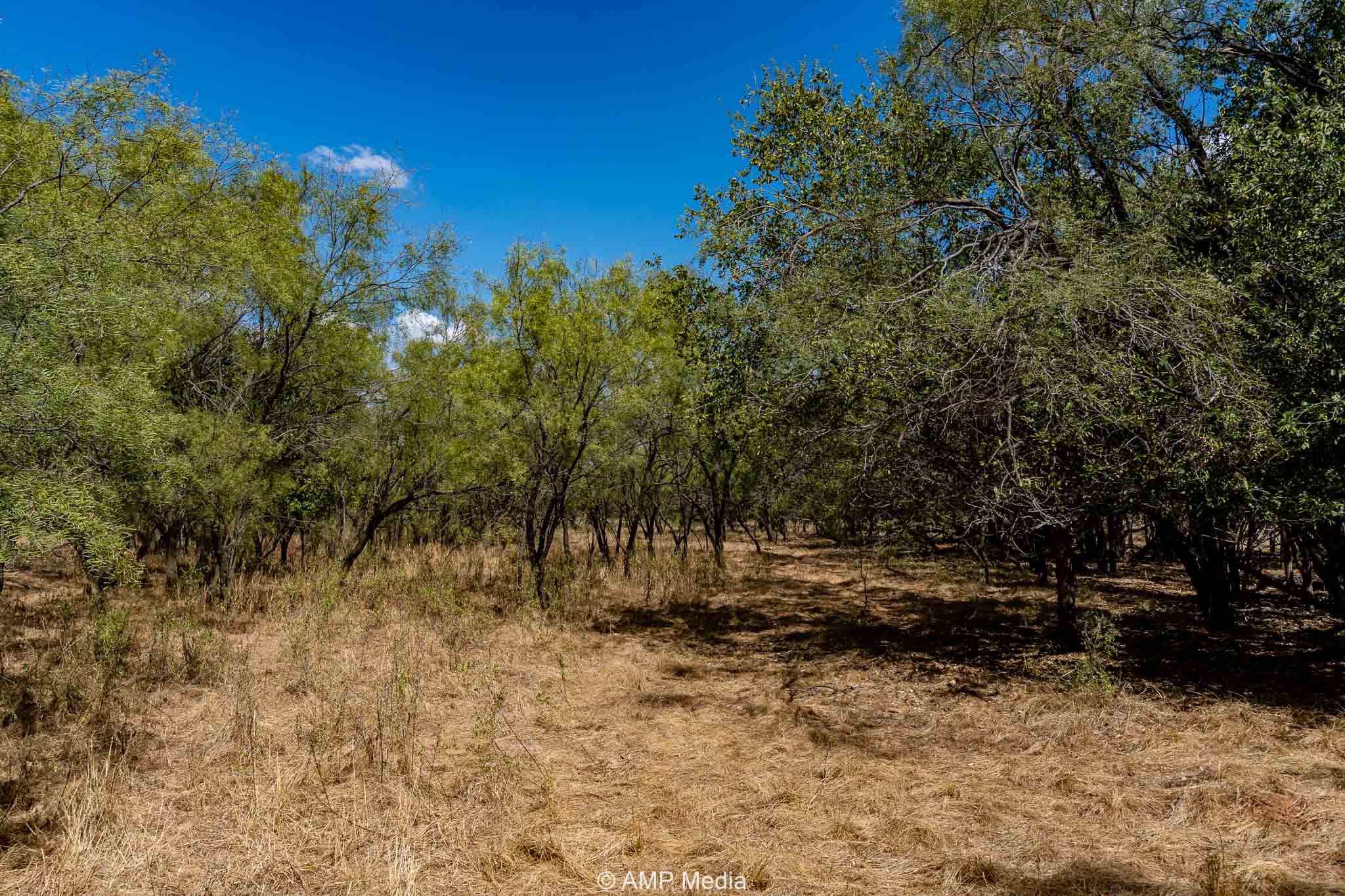 Property Photo 57 Property photograph 57
