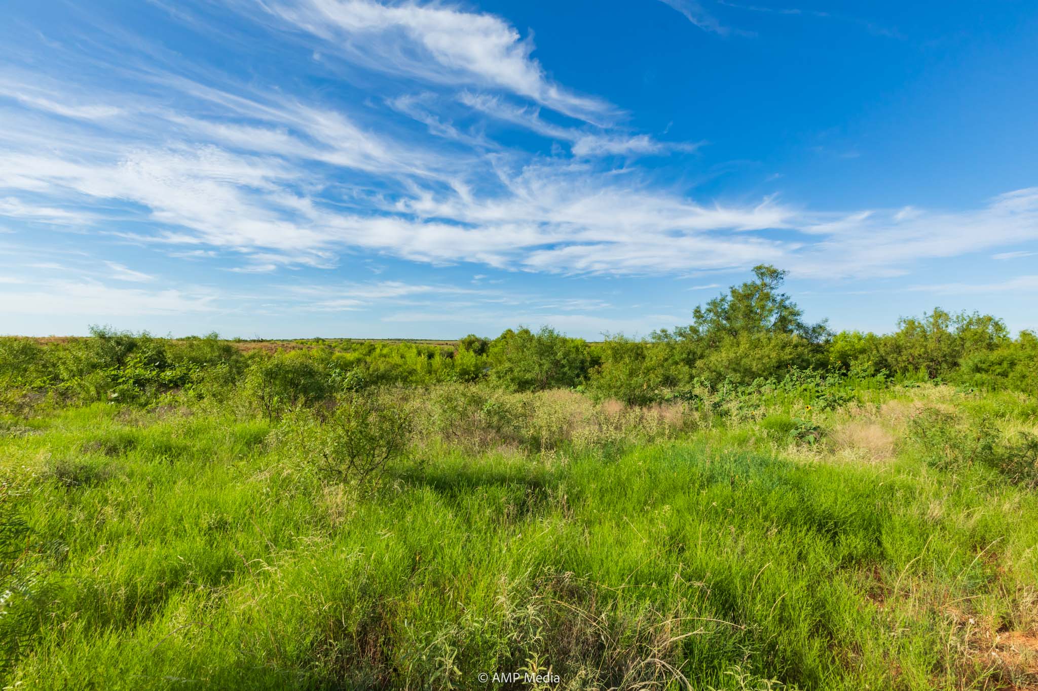 Property Photo 58 Property photograph 58