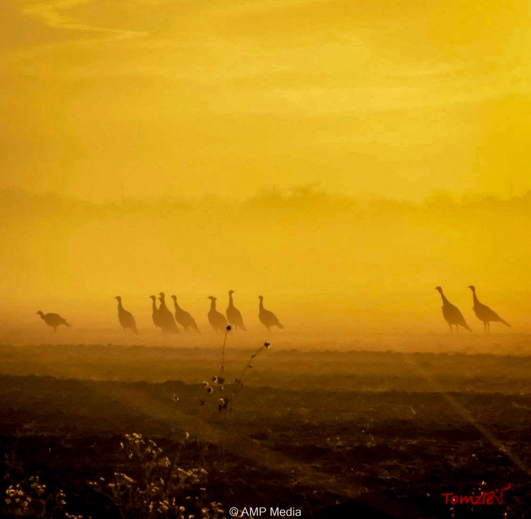 Property Photo 59 Property photograph 59