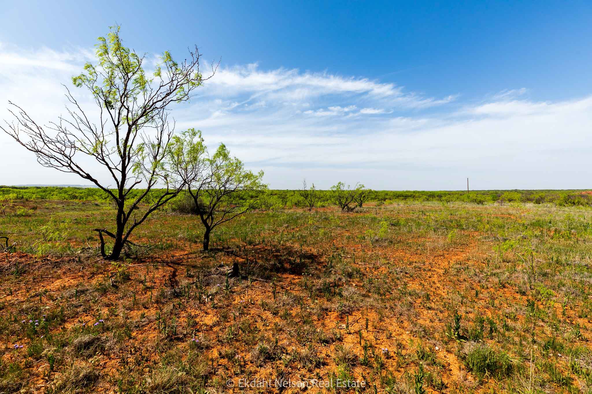 Property Photo 06 Property photograph 06