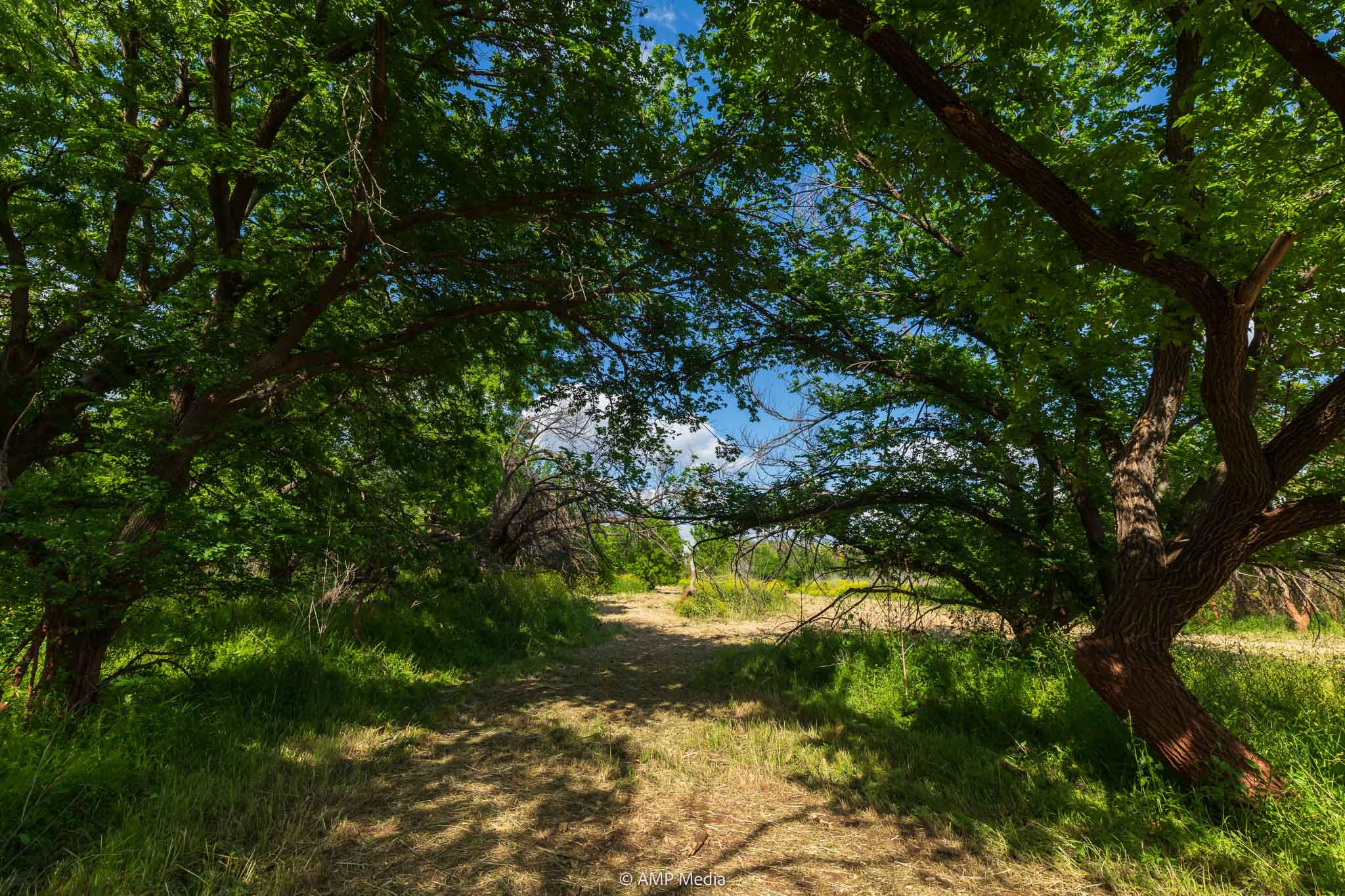 Property Photo 06 Property photograph 06