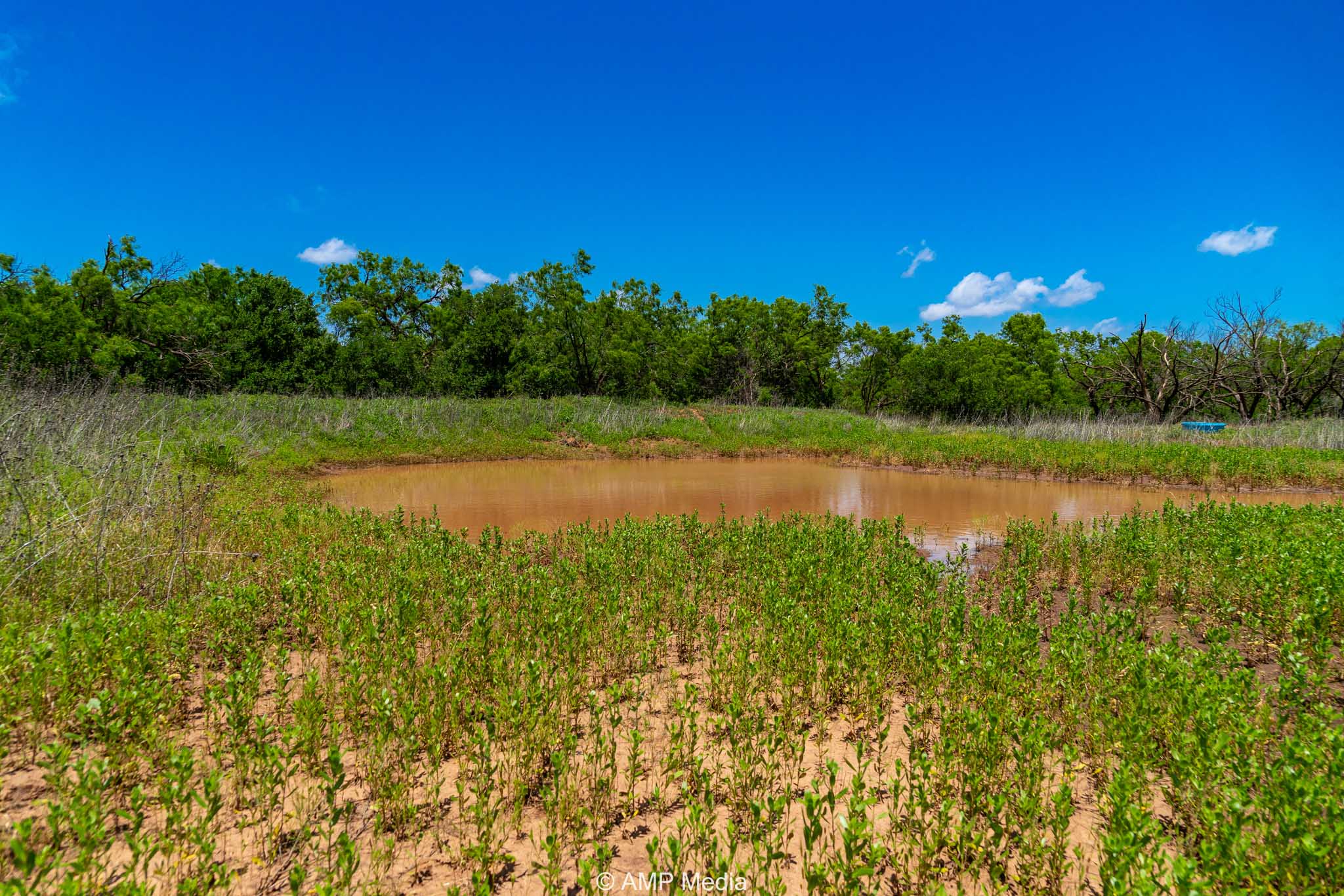 Property Photo 06 Property photograph 06
