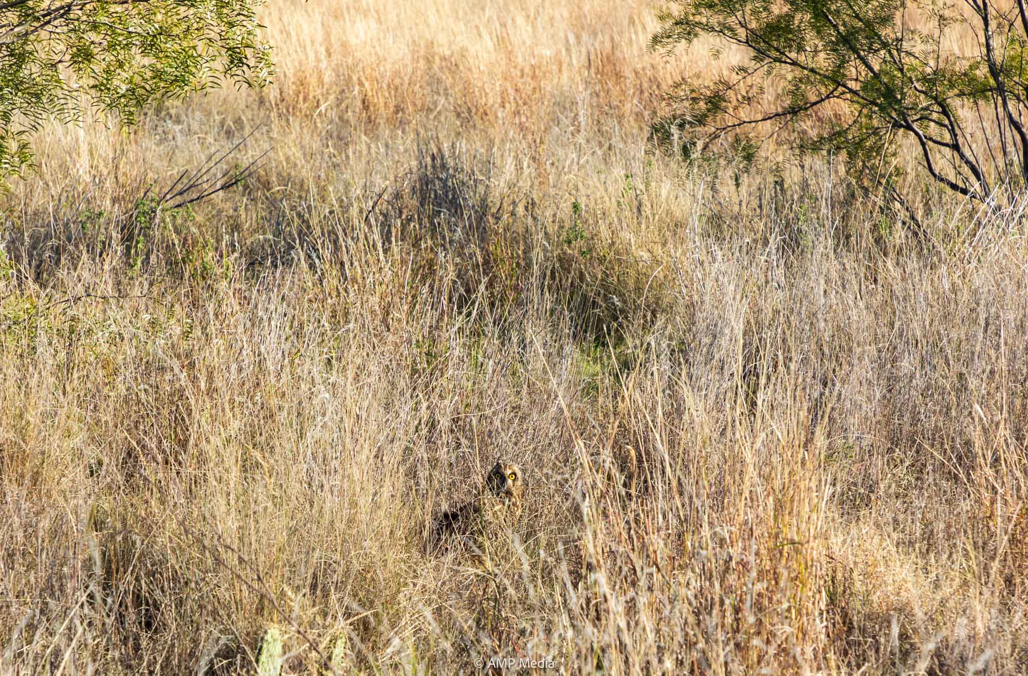 Property Photo 06 Property photograph 06
