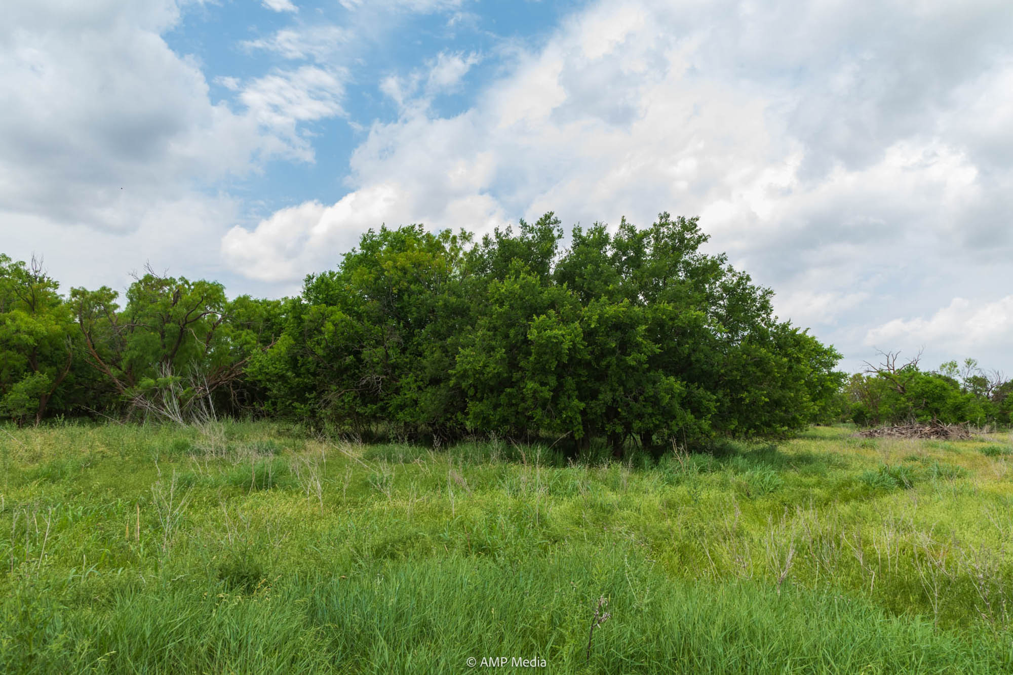 Property Photo 06 Property photograph 06