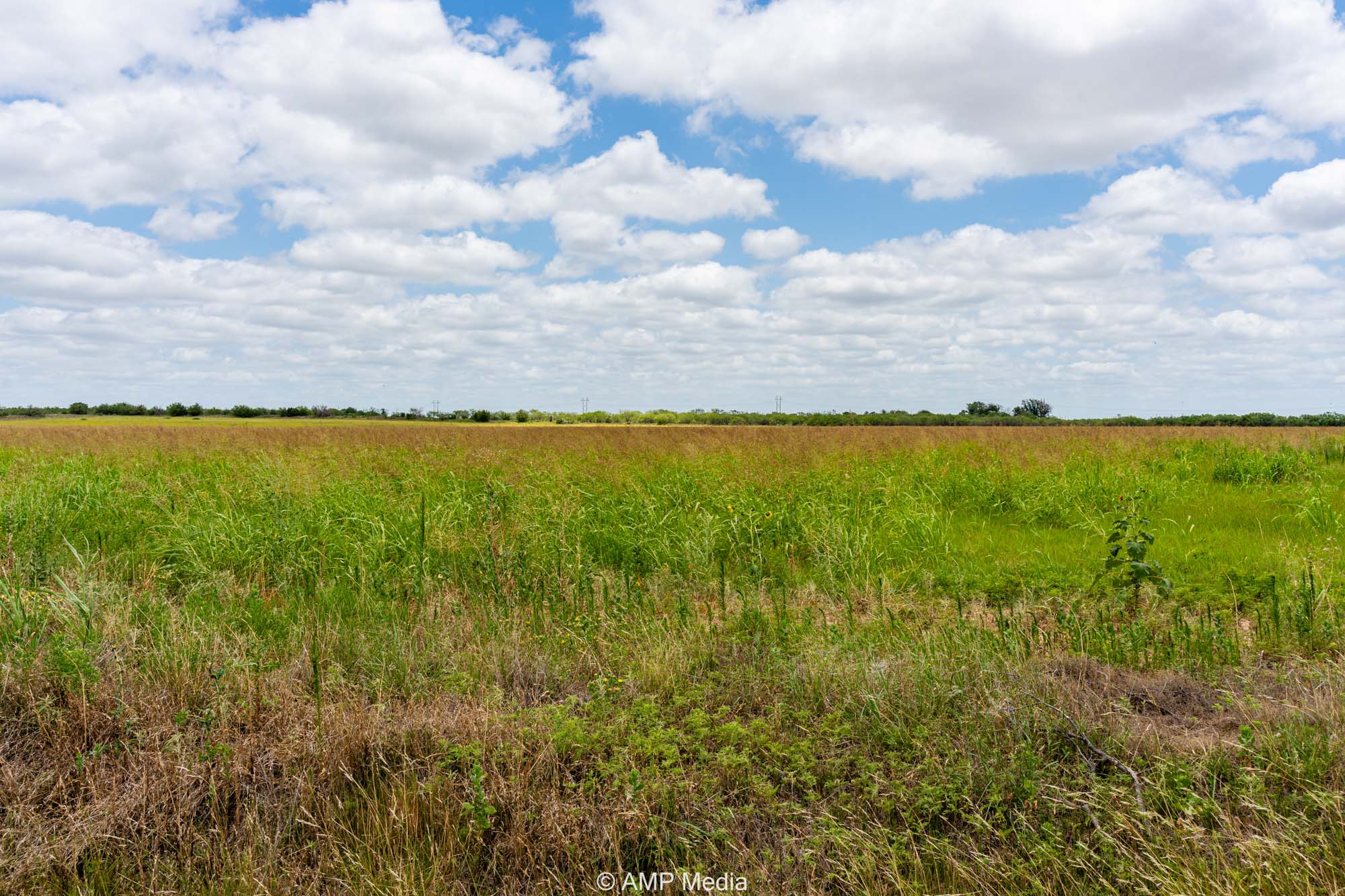 Property Photo 06 Property photograph 06