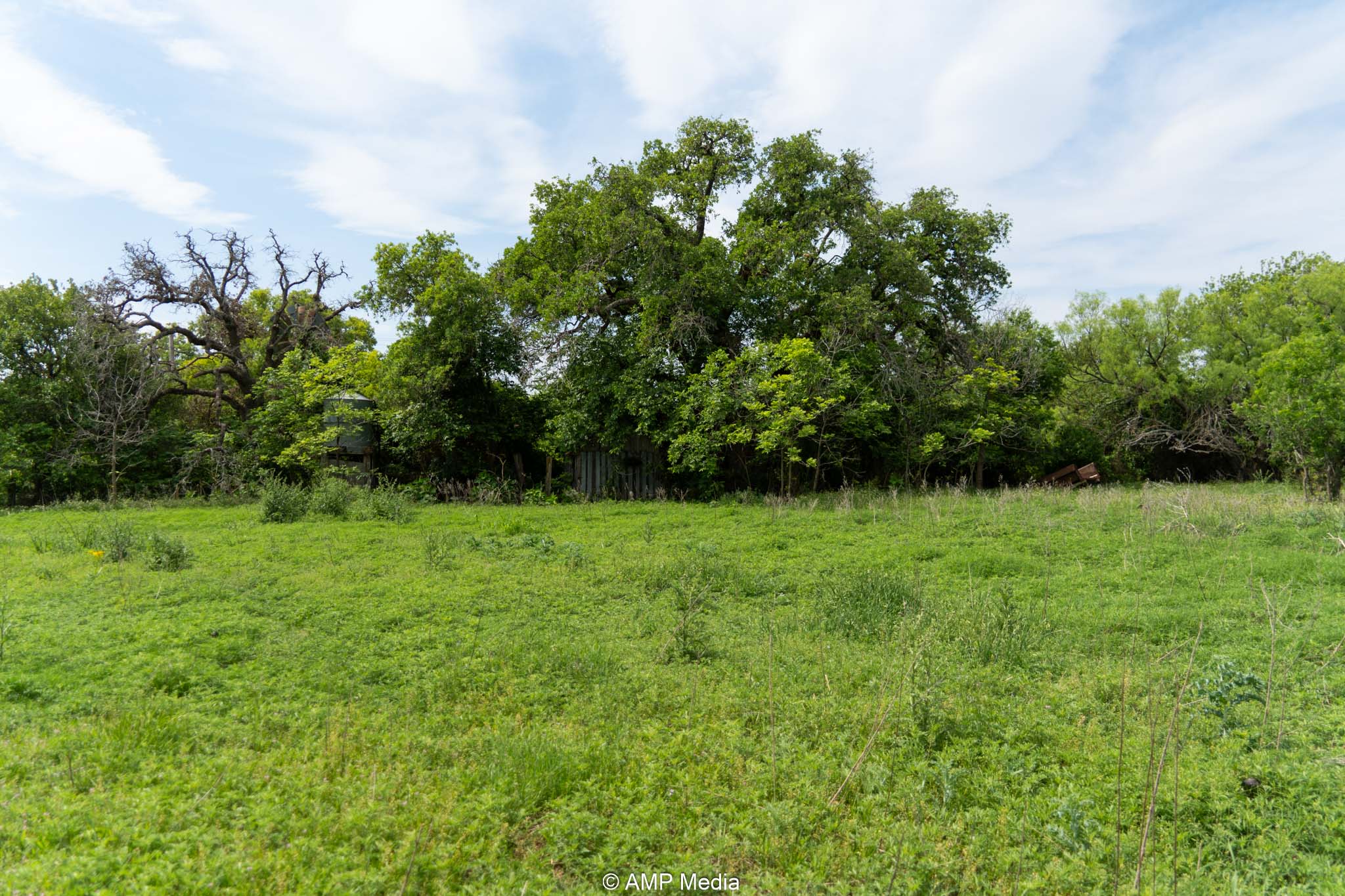 Property Photo 06 Property photograph 06