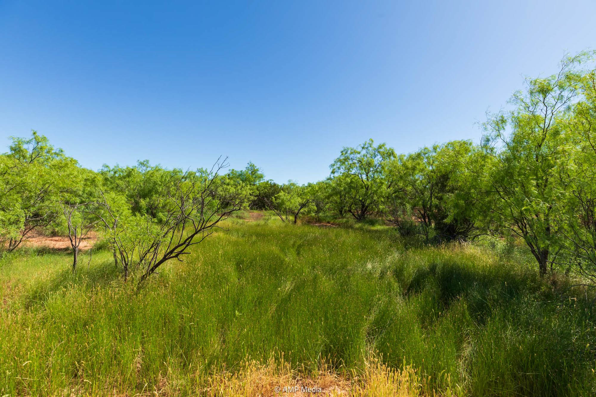 Property Photo 06 Property photograph 06