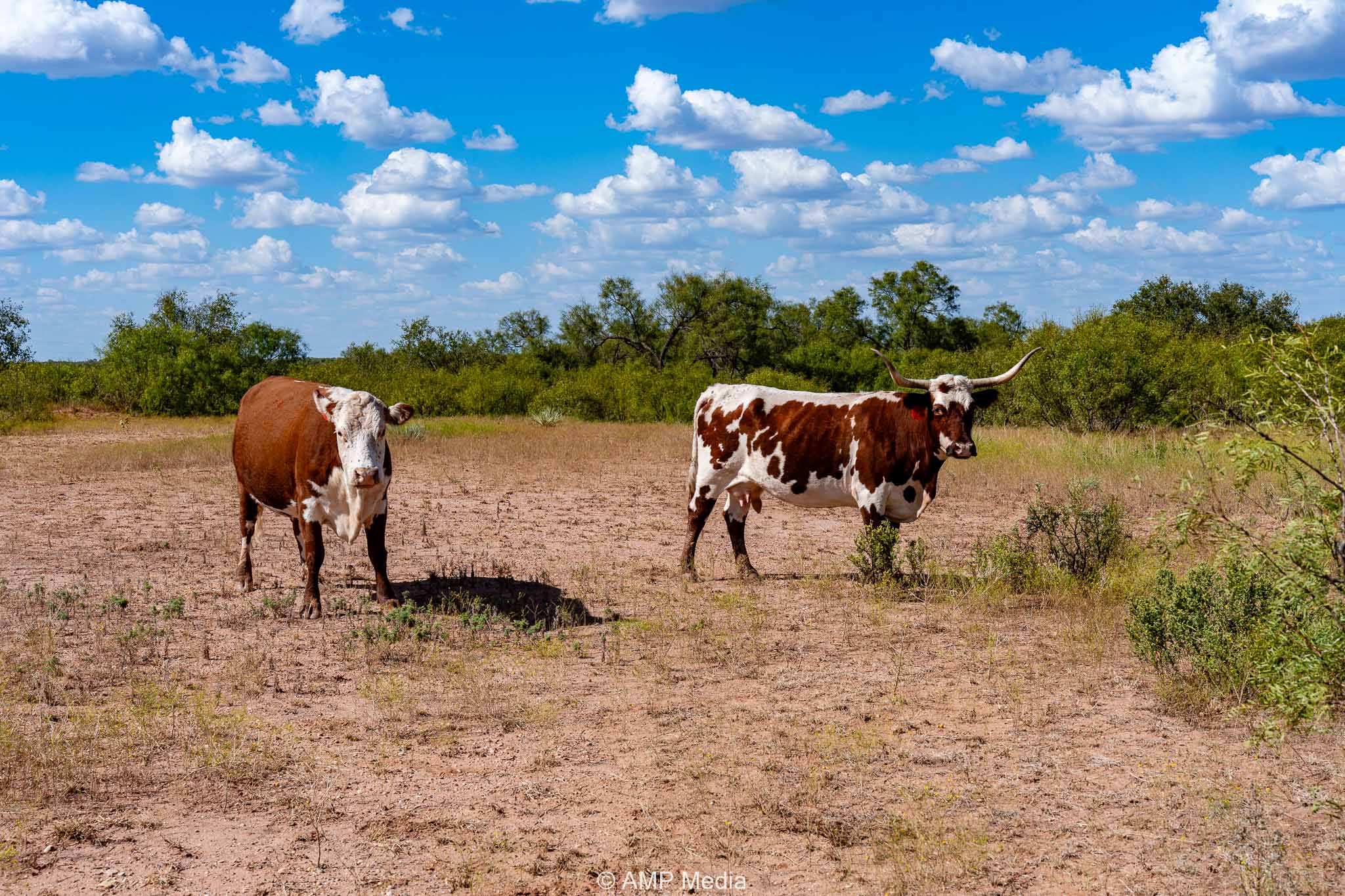 Property Photo 06 Property photograph 06