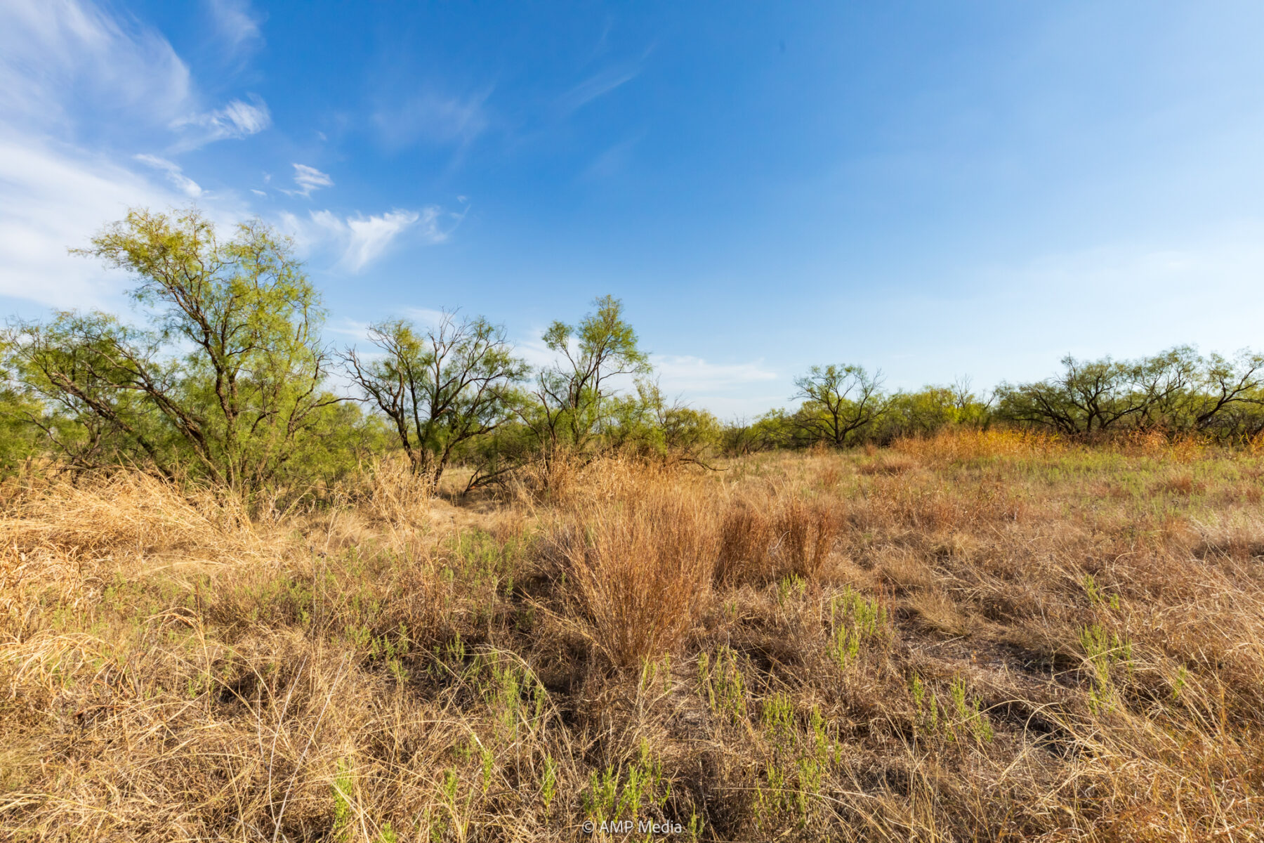 Property Photo 06 Property photograph 06