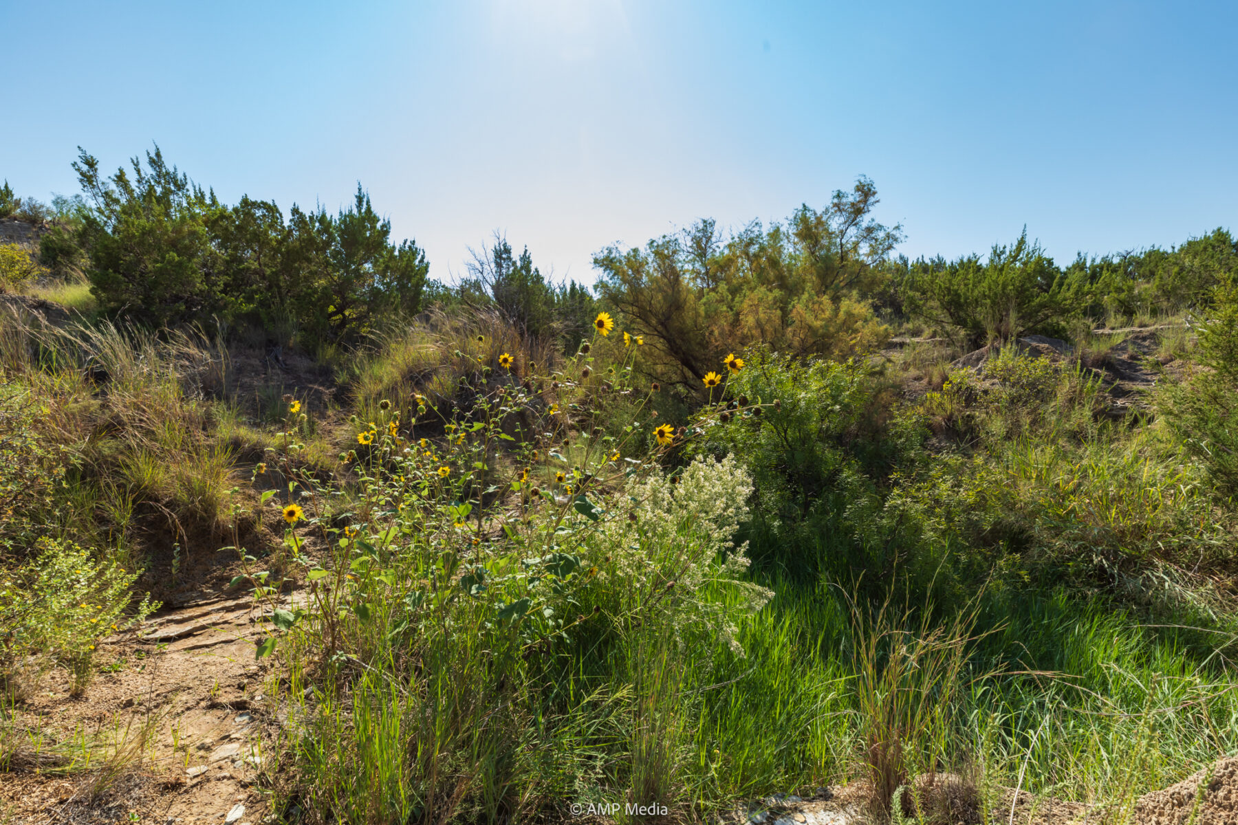 Property Photo 60 Property photograph 60
