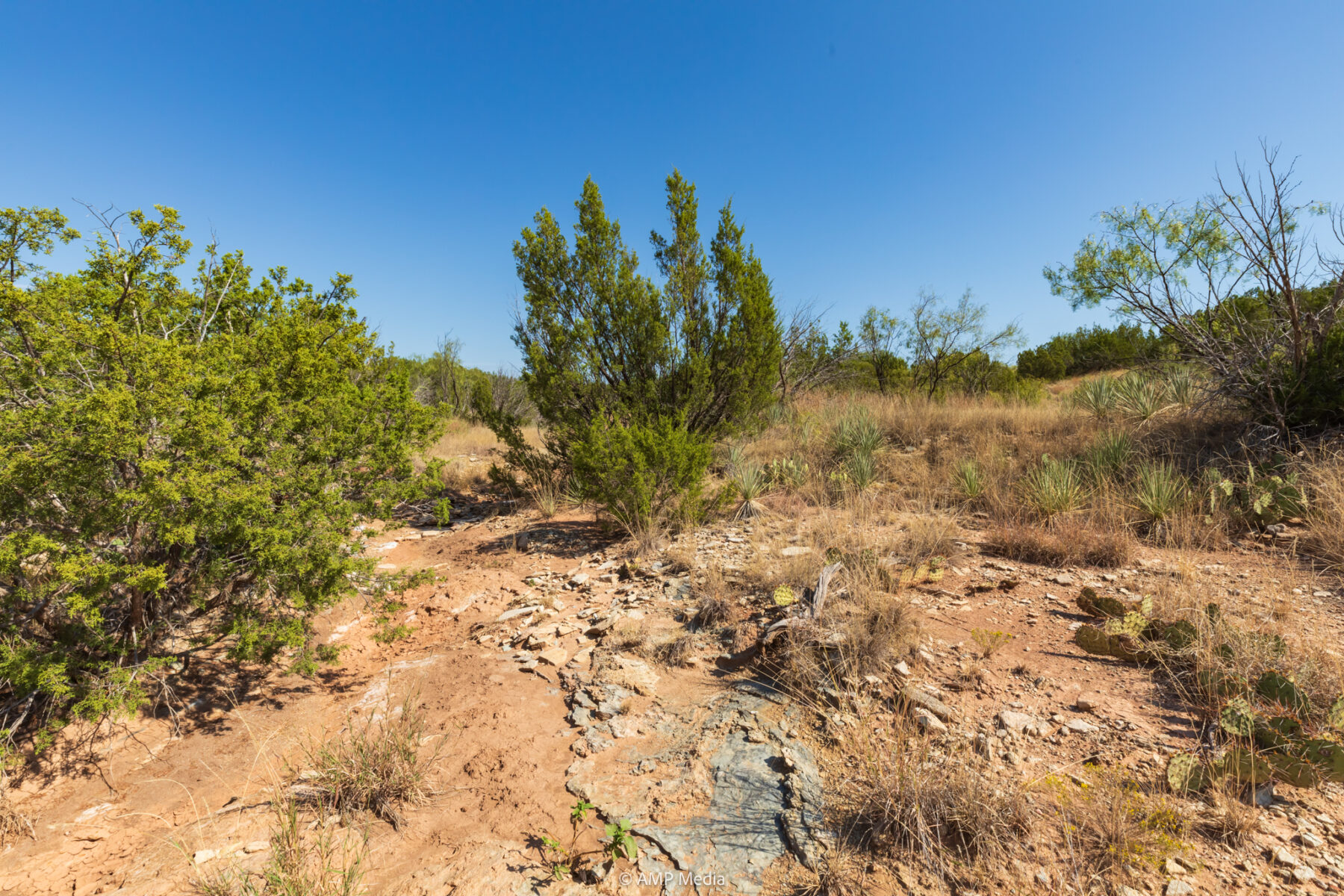 Property Photo 60 Property photograph 60