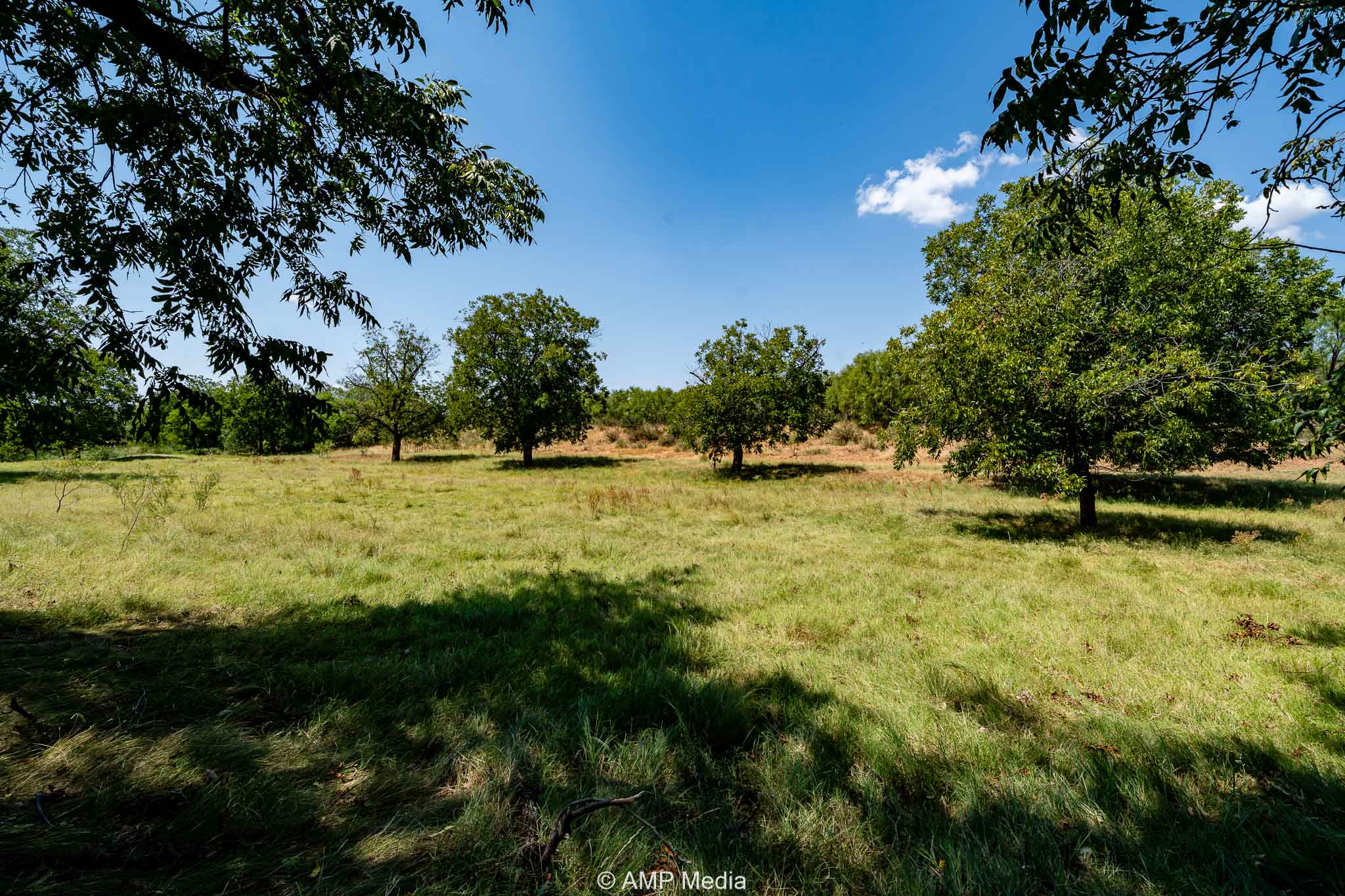 Property Photo 61 Property photograph 61