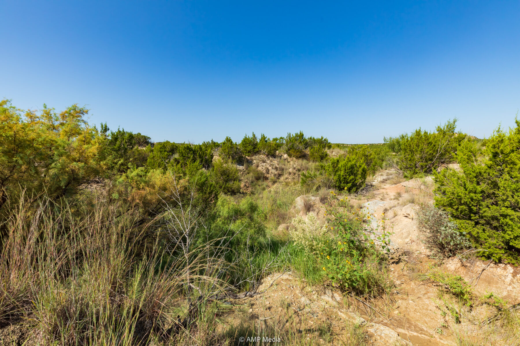 Property Photo 61 Property photograph 61