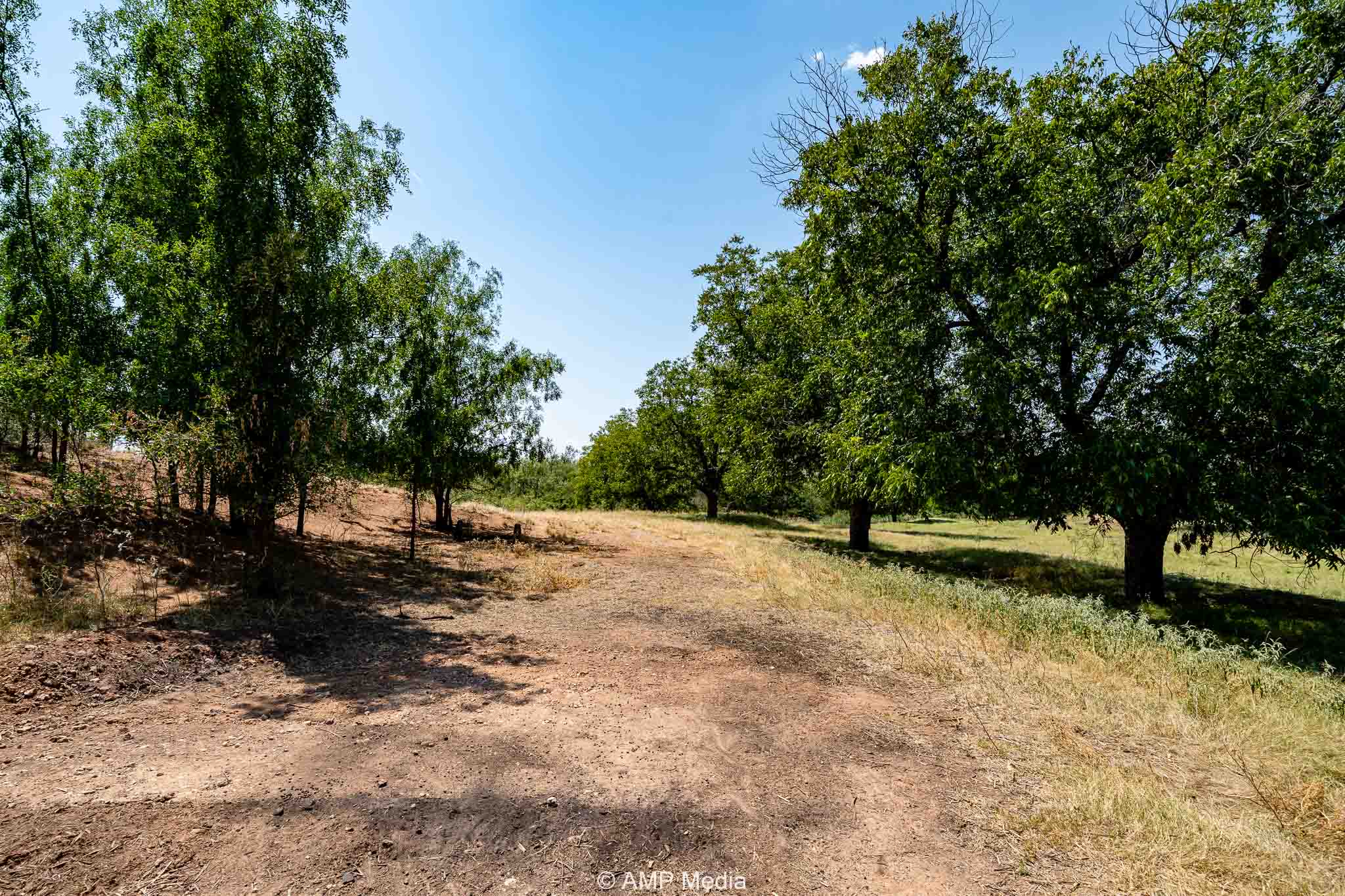 Property Photo 62 Property photograph 62