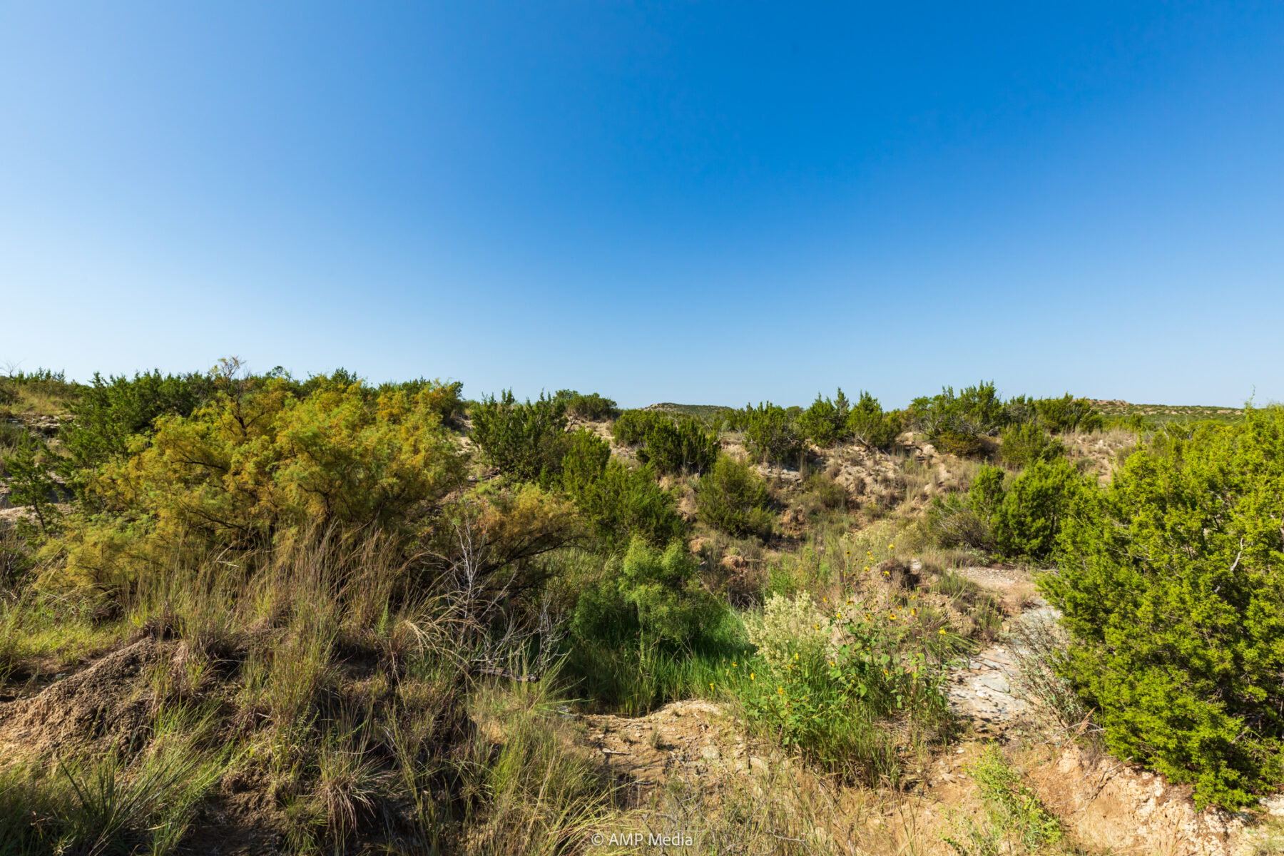 Property Photo 62 Property photograph 62