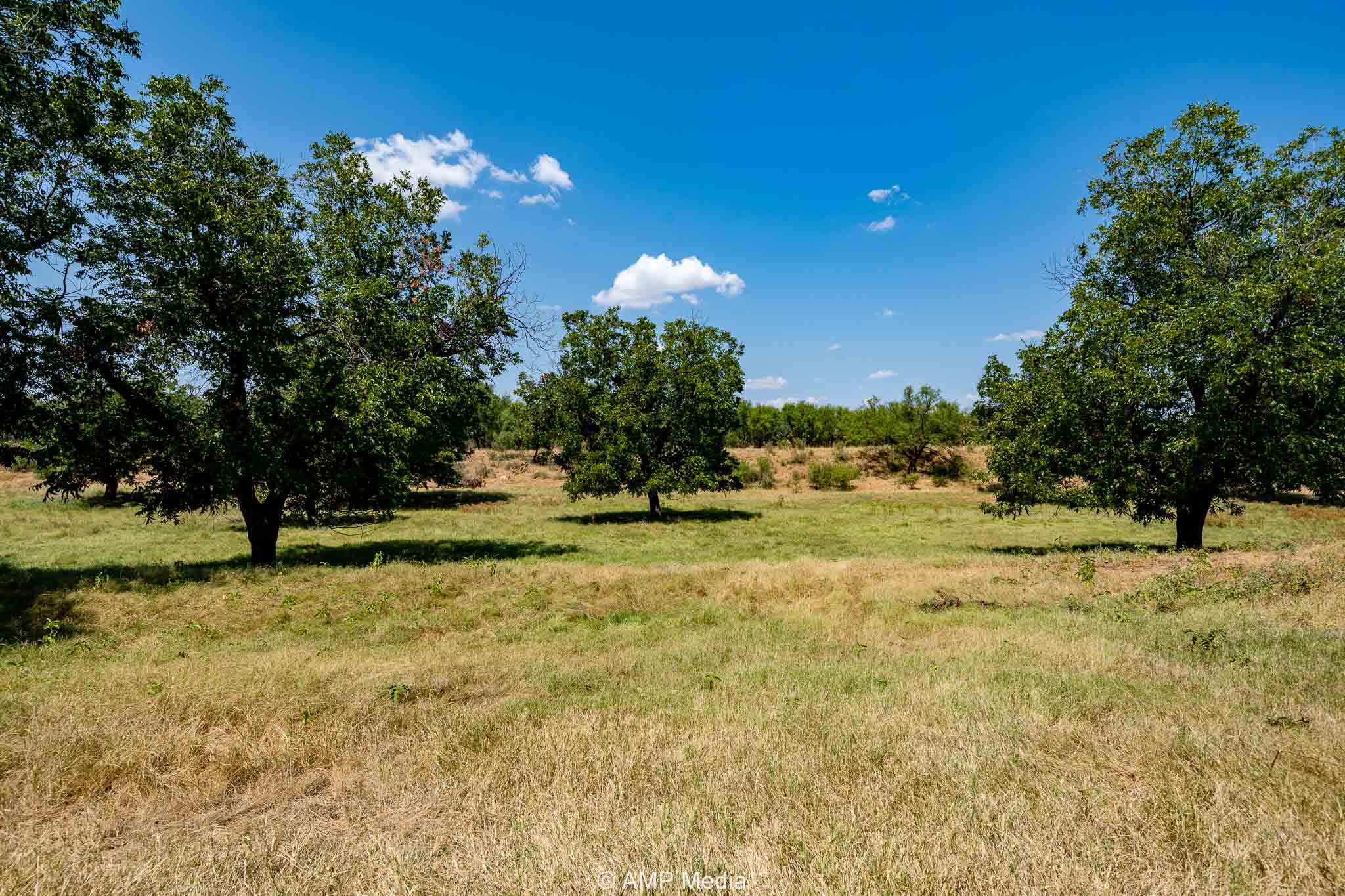 Property Photo 63 Property photograph 63