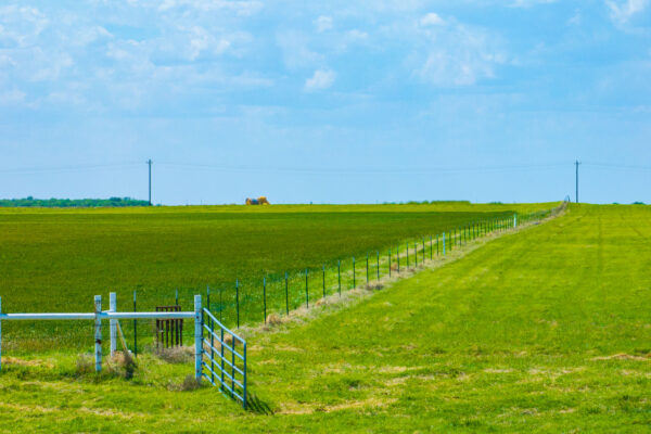 Property photograph 63