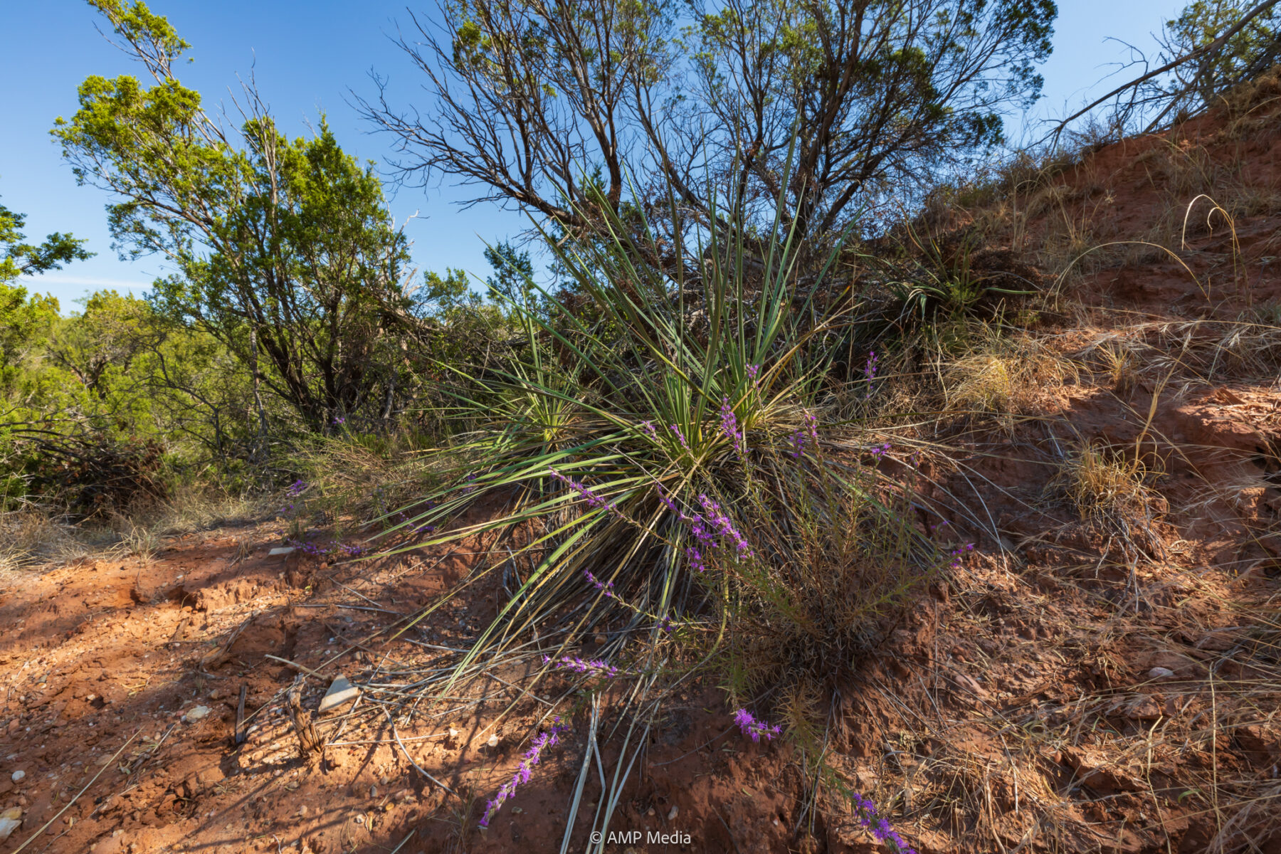 Property Photo 65 Property photograph 65