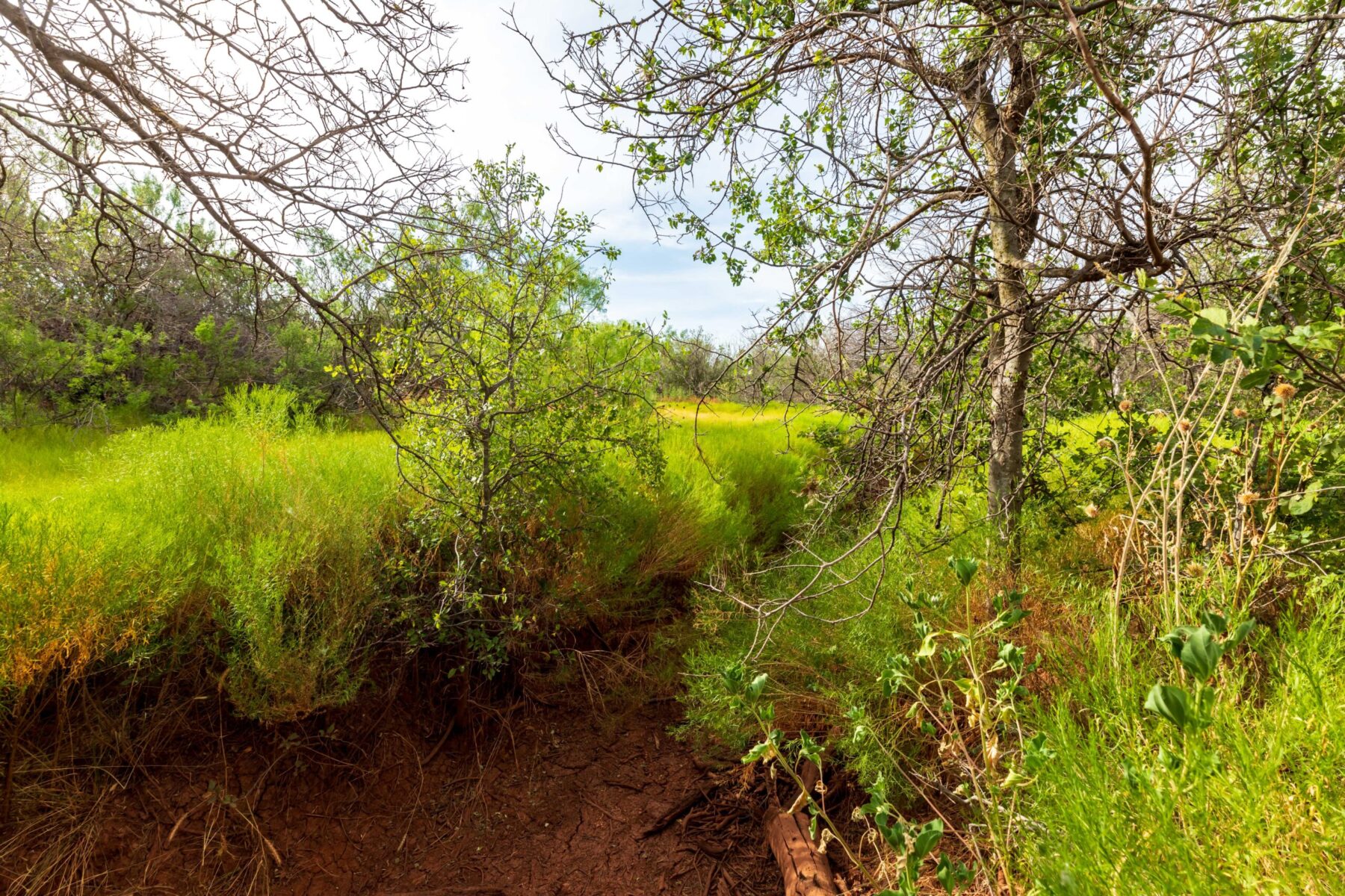 Property Photo 07 Property photograph
