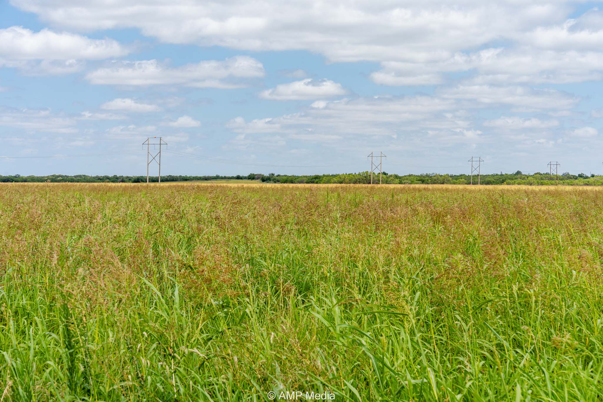 Property Photo 07 Property photograph 07