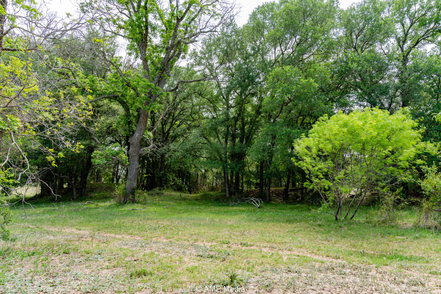 Property Photo 07 Property photograph 07