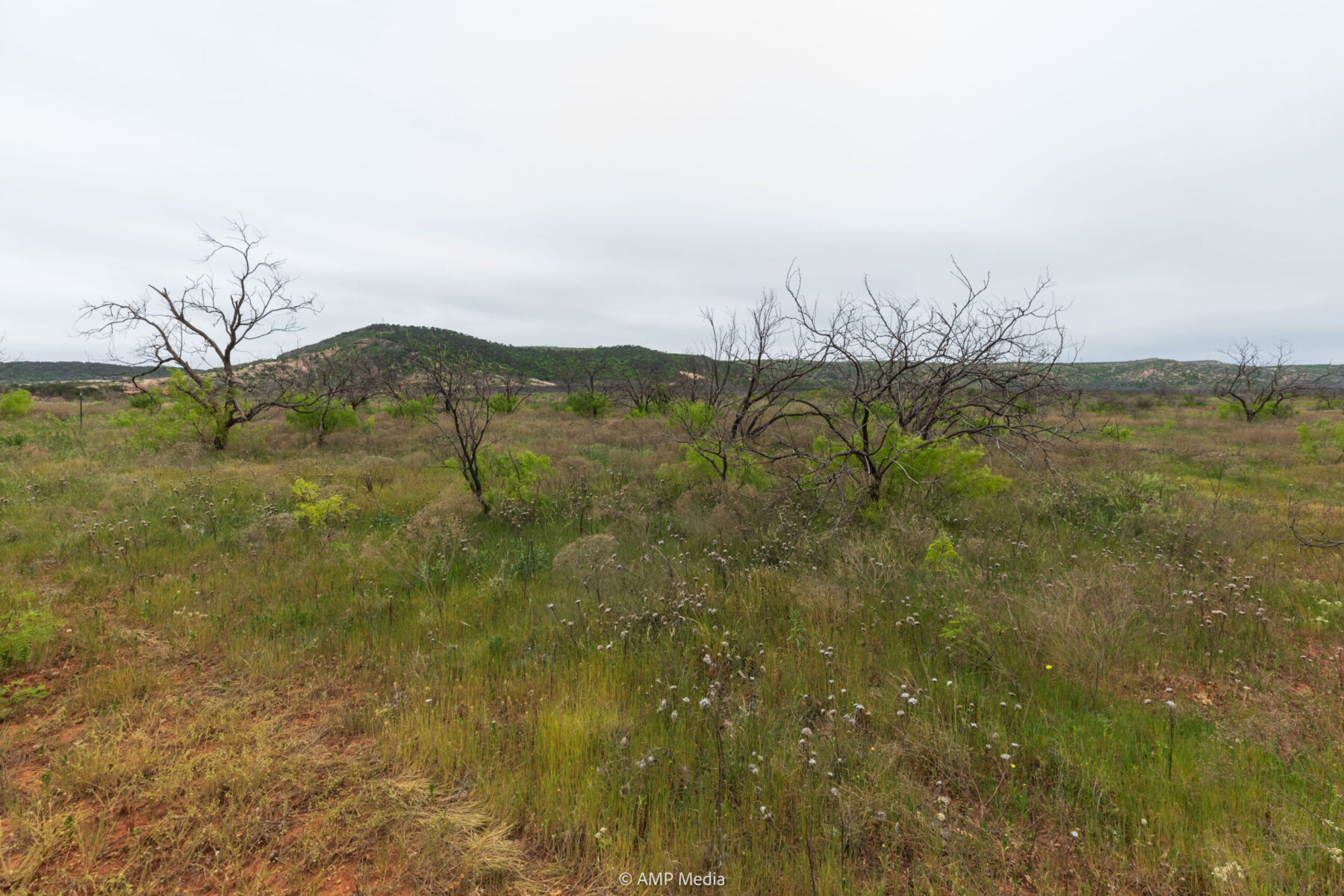 Property Photo 07 Property photograph 07