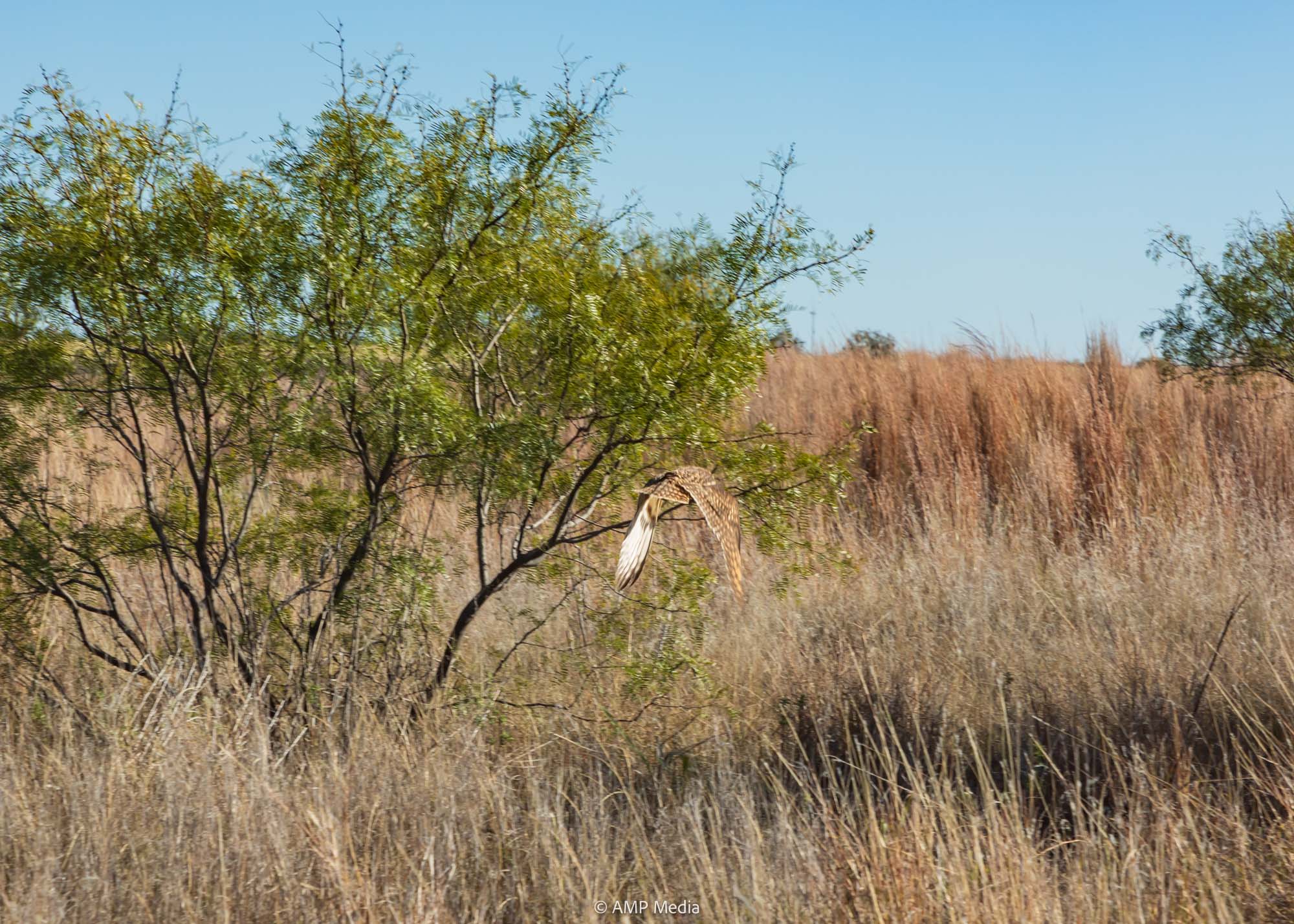Property Photo 07 Property photograph 07