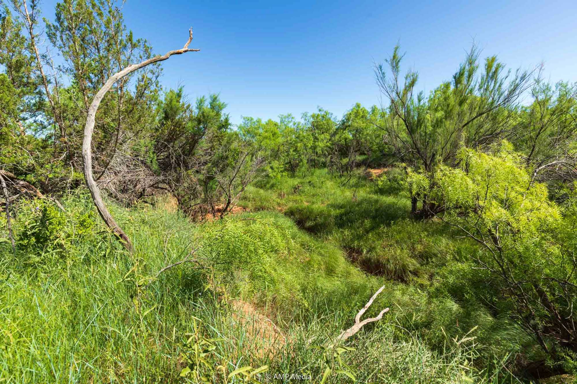 Property Photo 07 Property photograph 07