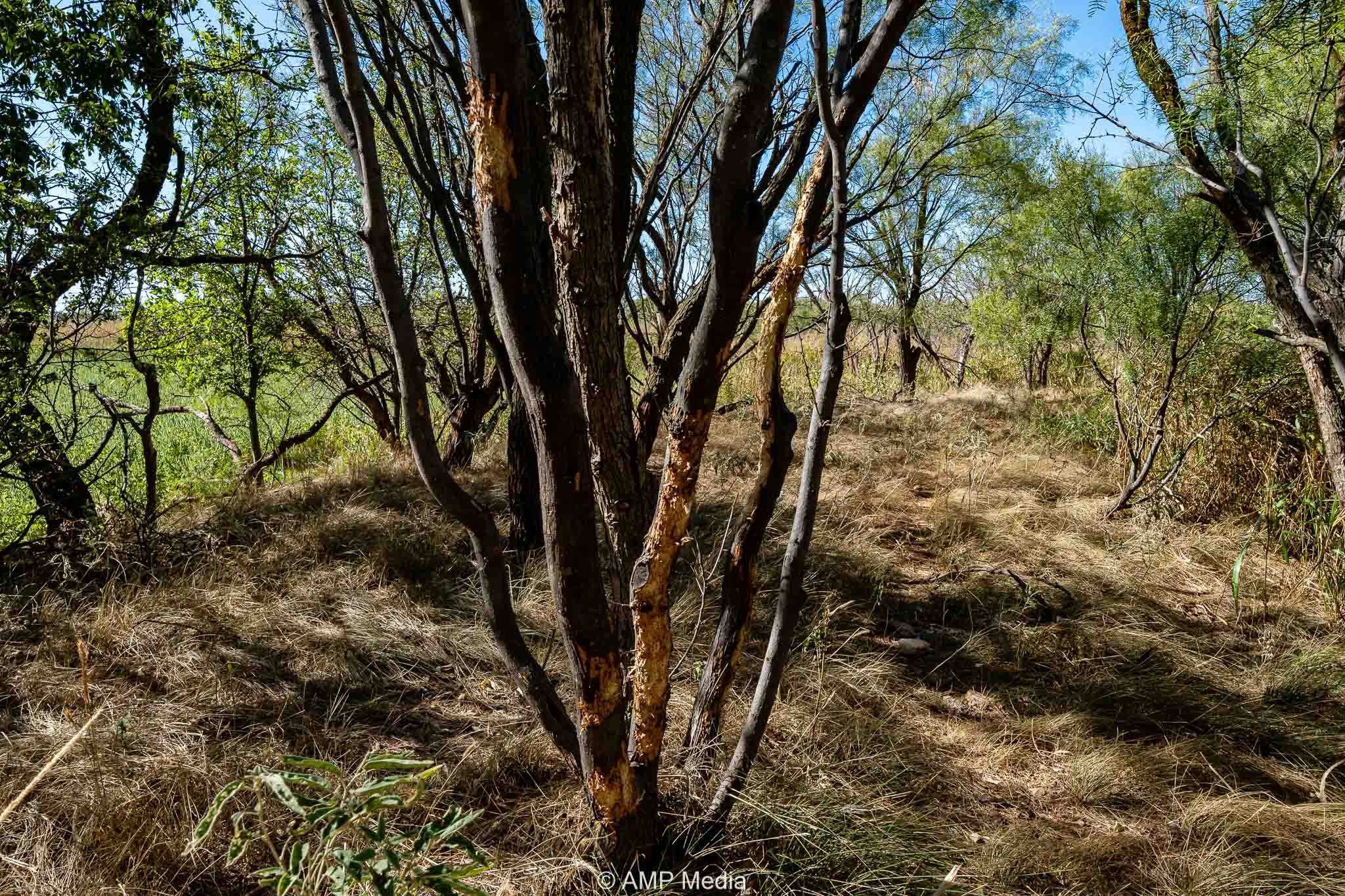 Property Photo 07 Property photograph 07