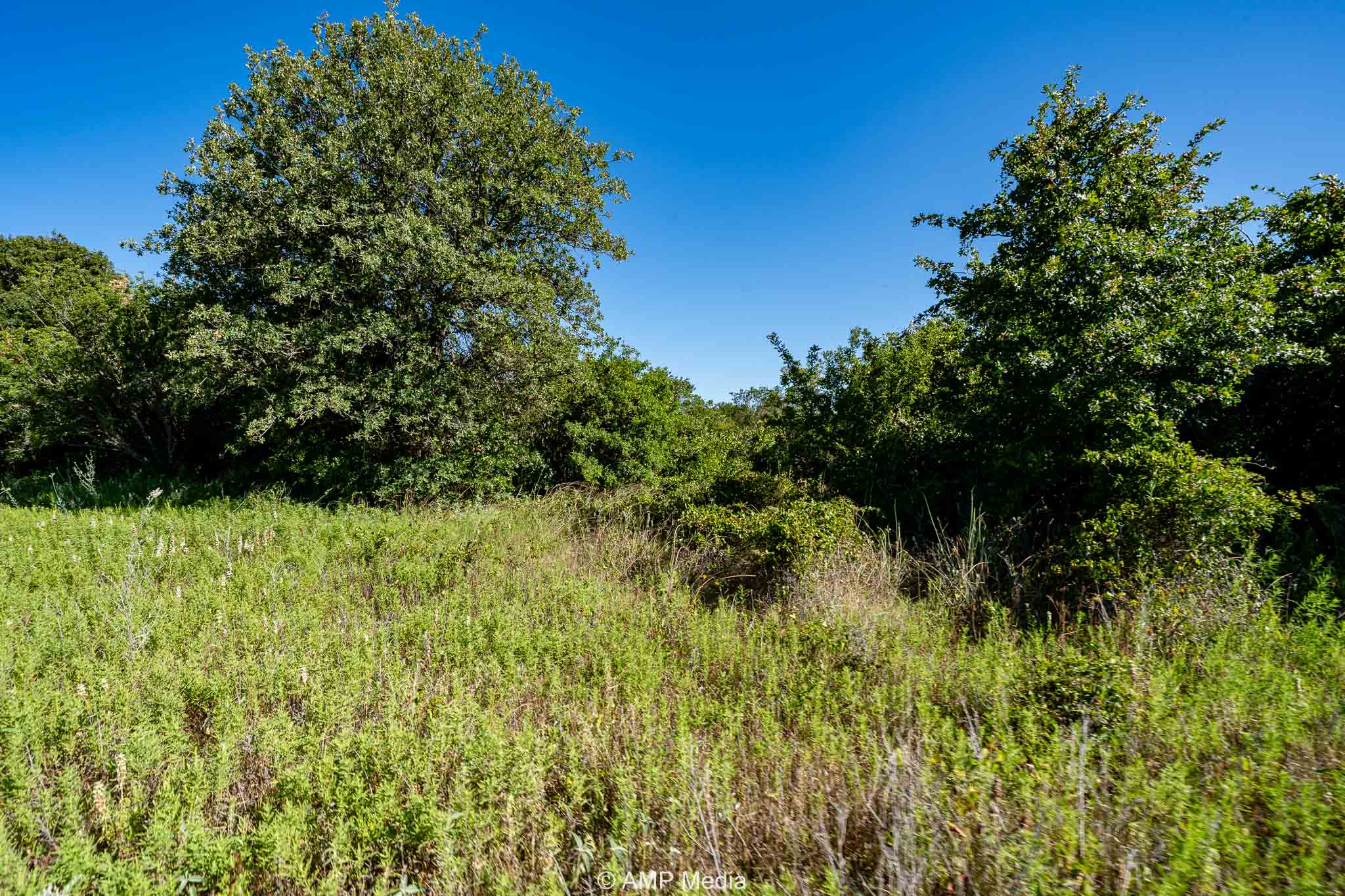 Property Photo 07 Property photograph 07