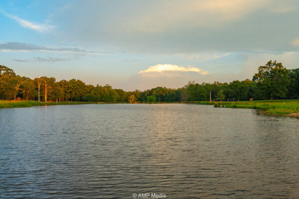 Texas Real Estate Market Forecast 2026