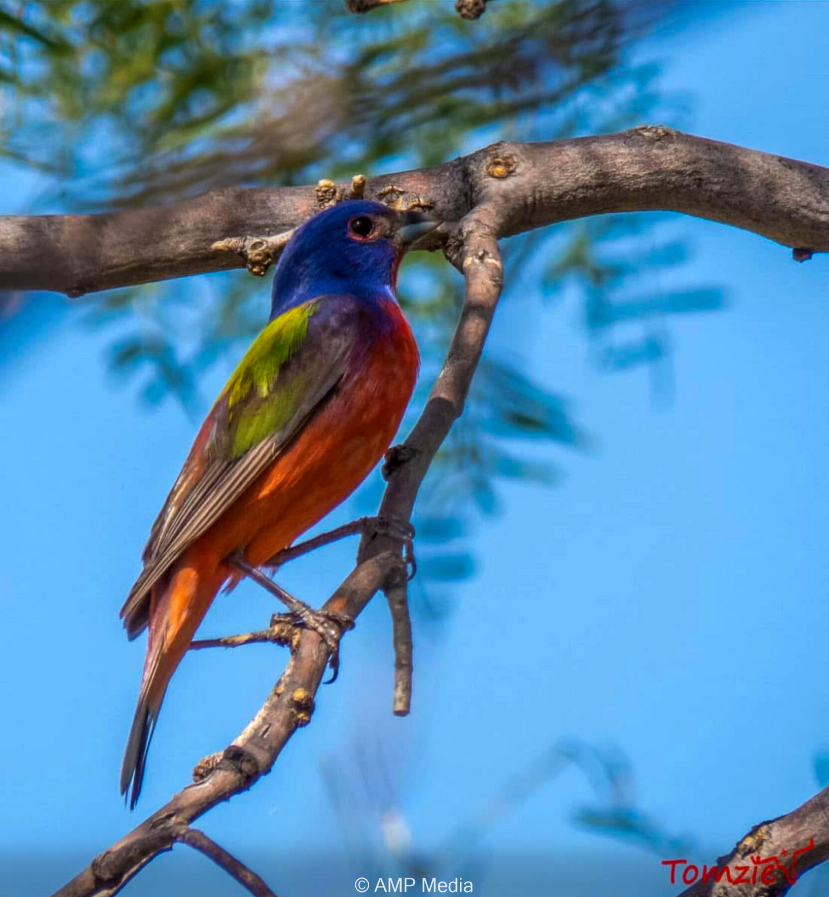 Property Photo 76 Property photograph 76