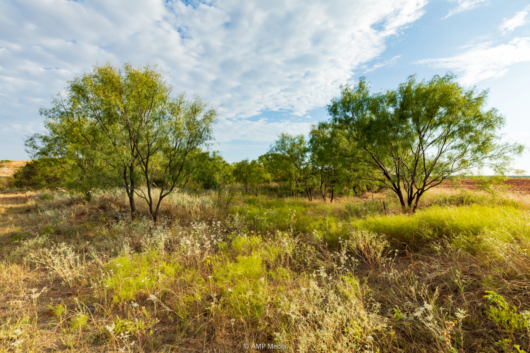 Property Photo 79 Property photograph 79