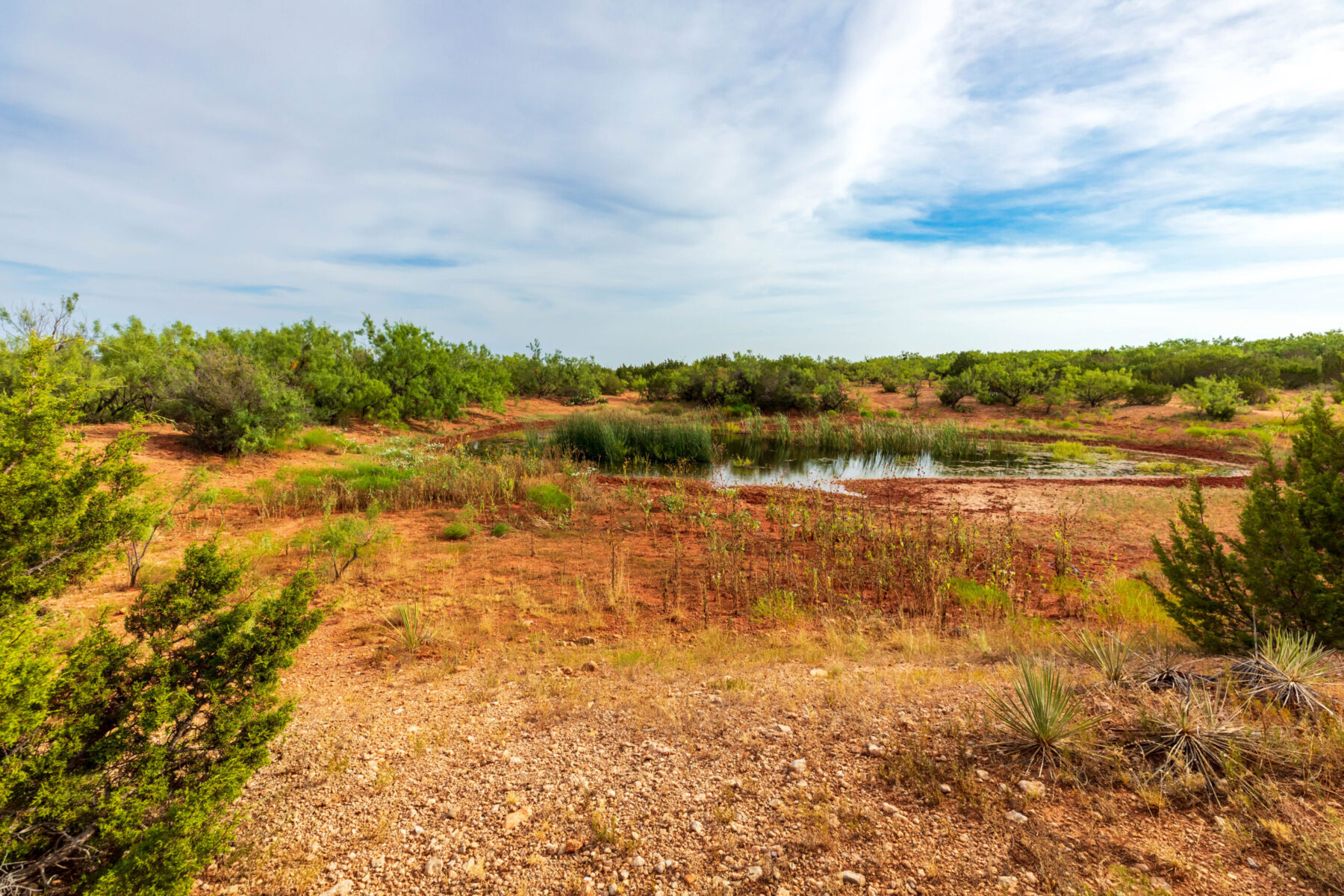 Property Photo 08 Property photograph 08
