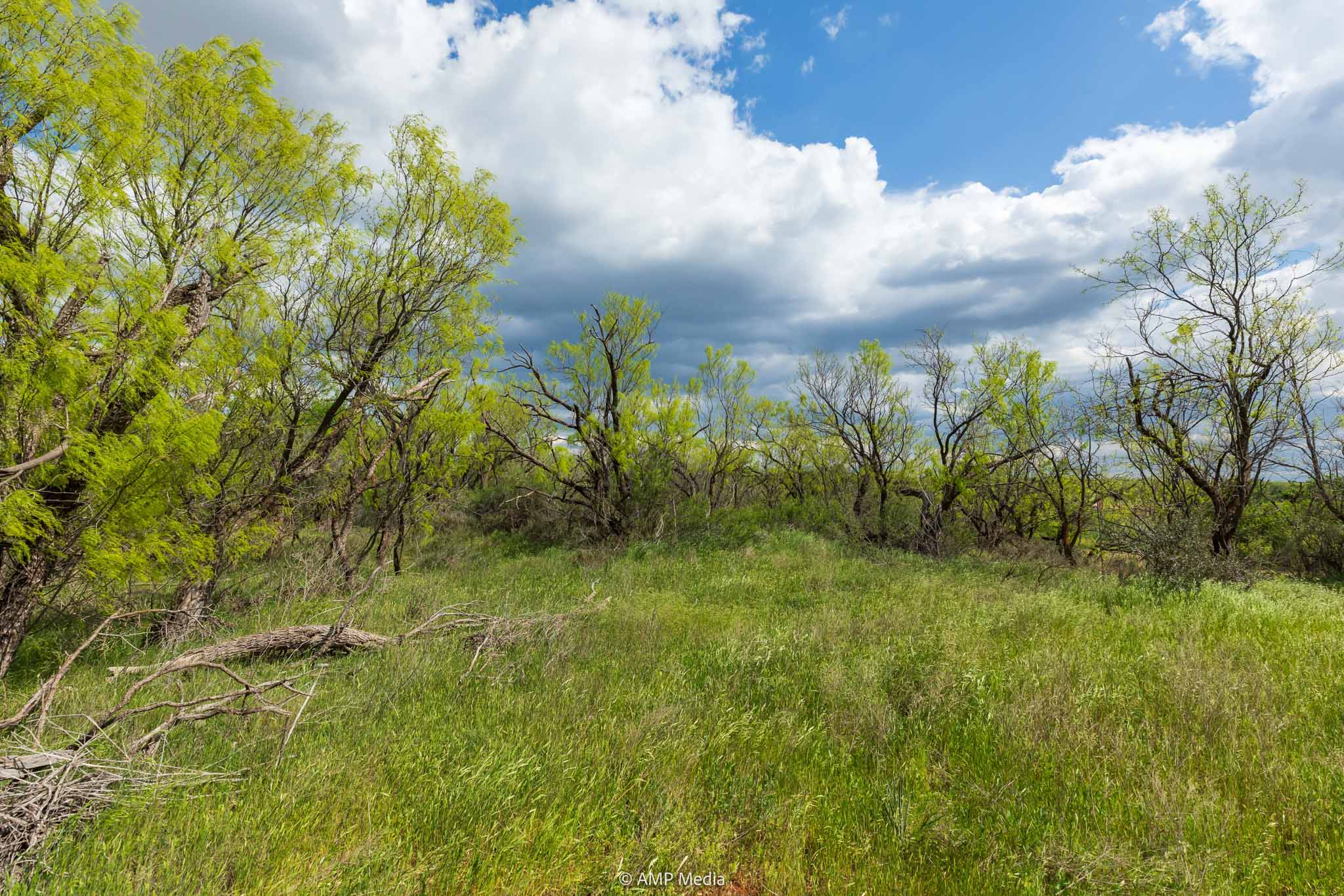 Property Photo 08 Property photograph 08