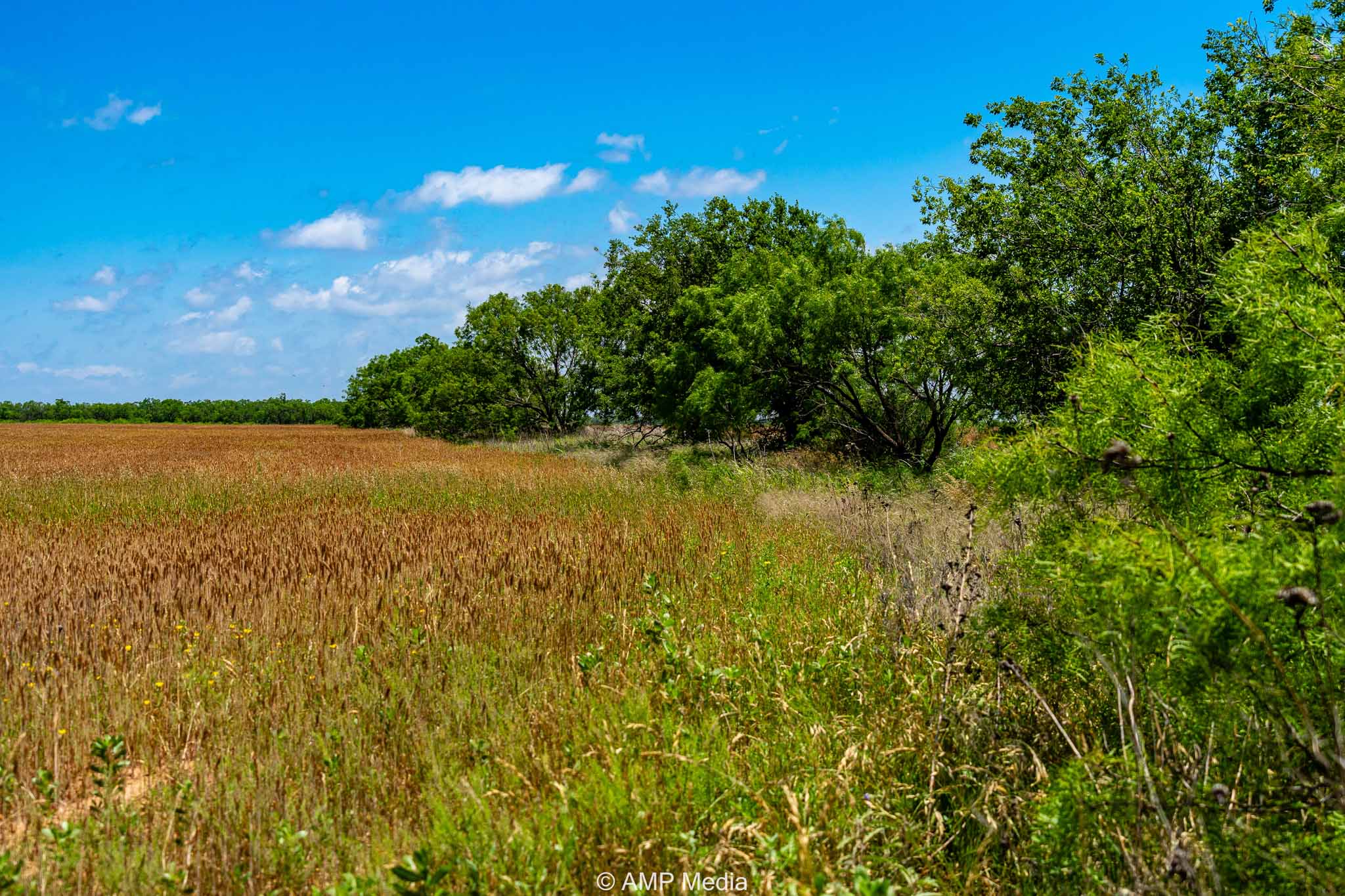 Property Photo 08 Property photograph 08