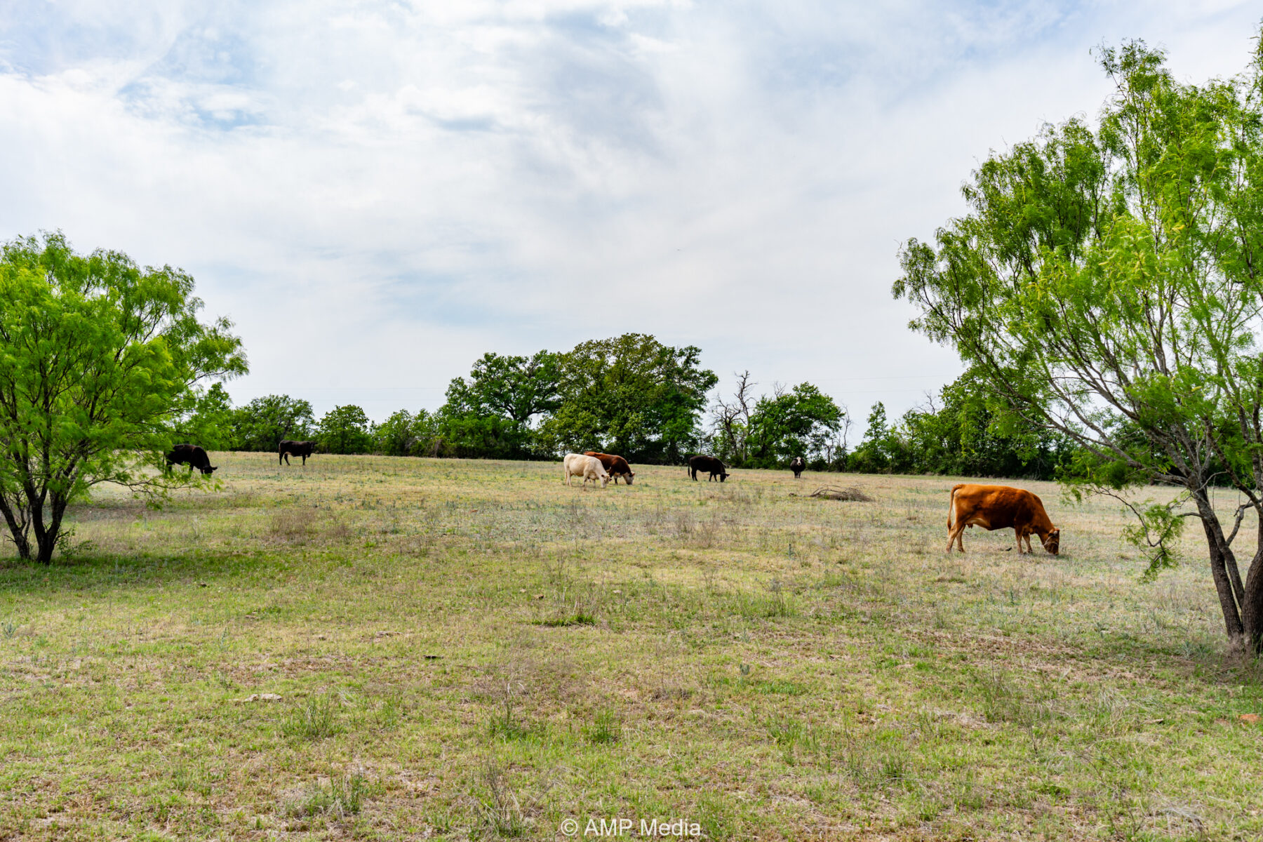 Property Photo 08 Property photograph 08