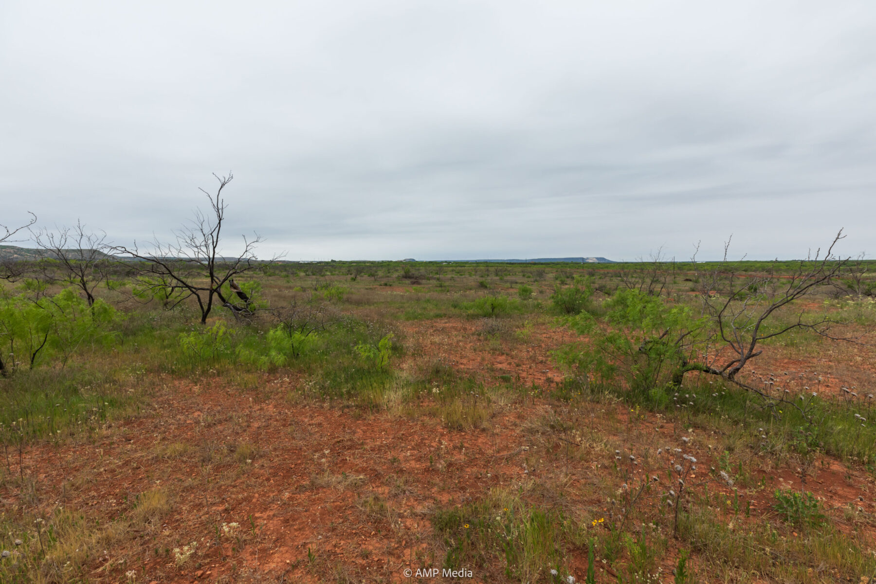 Property Photo 08 Property photograph 08