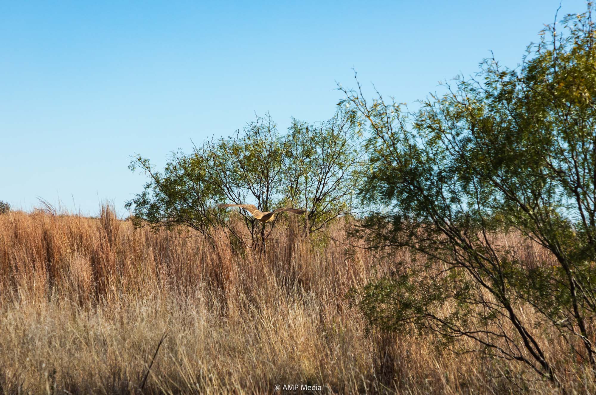 Property Photo 08 Property photograph 08