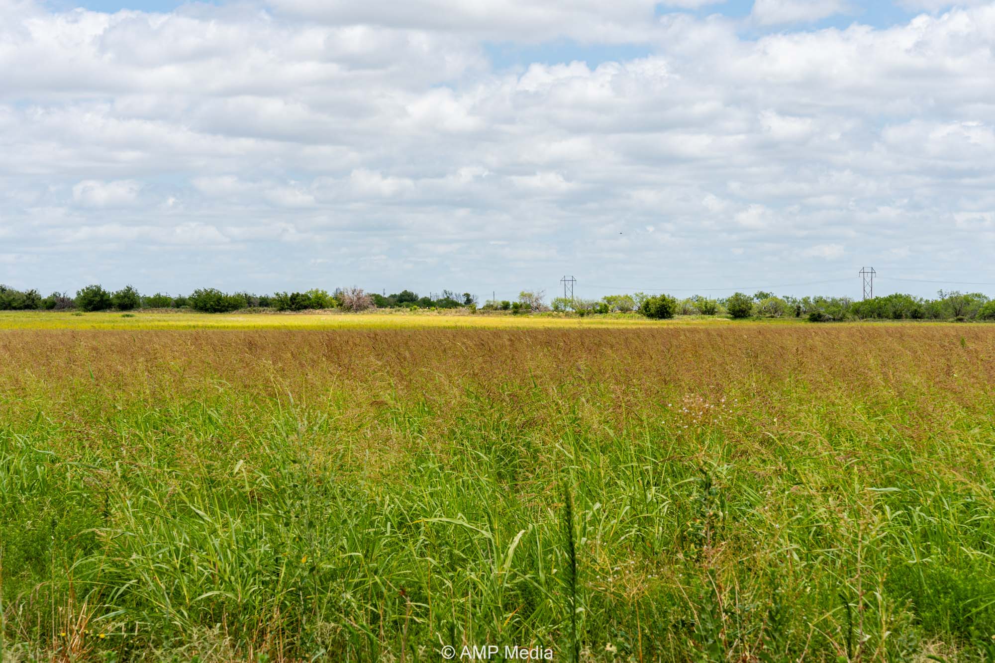 Property Photo 08 Property photograph 08