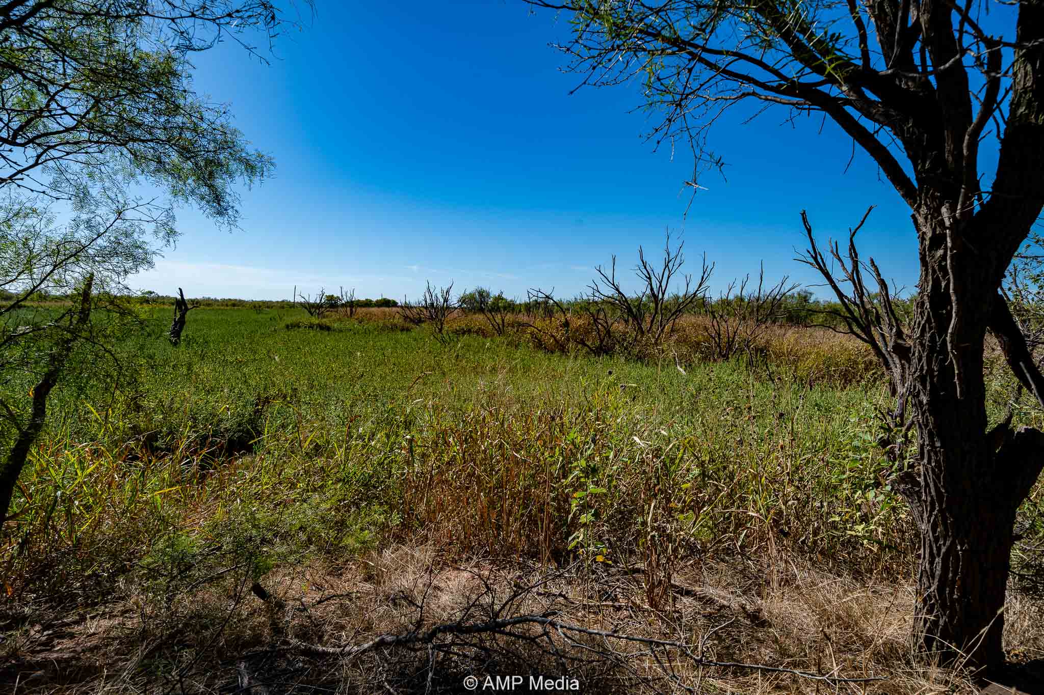 Property Photo 08 Property photograph 08