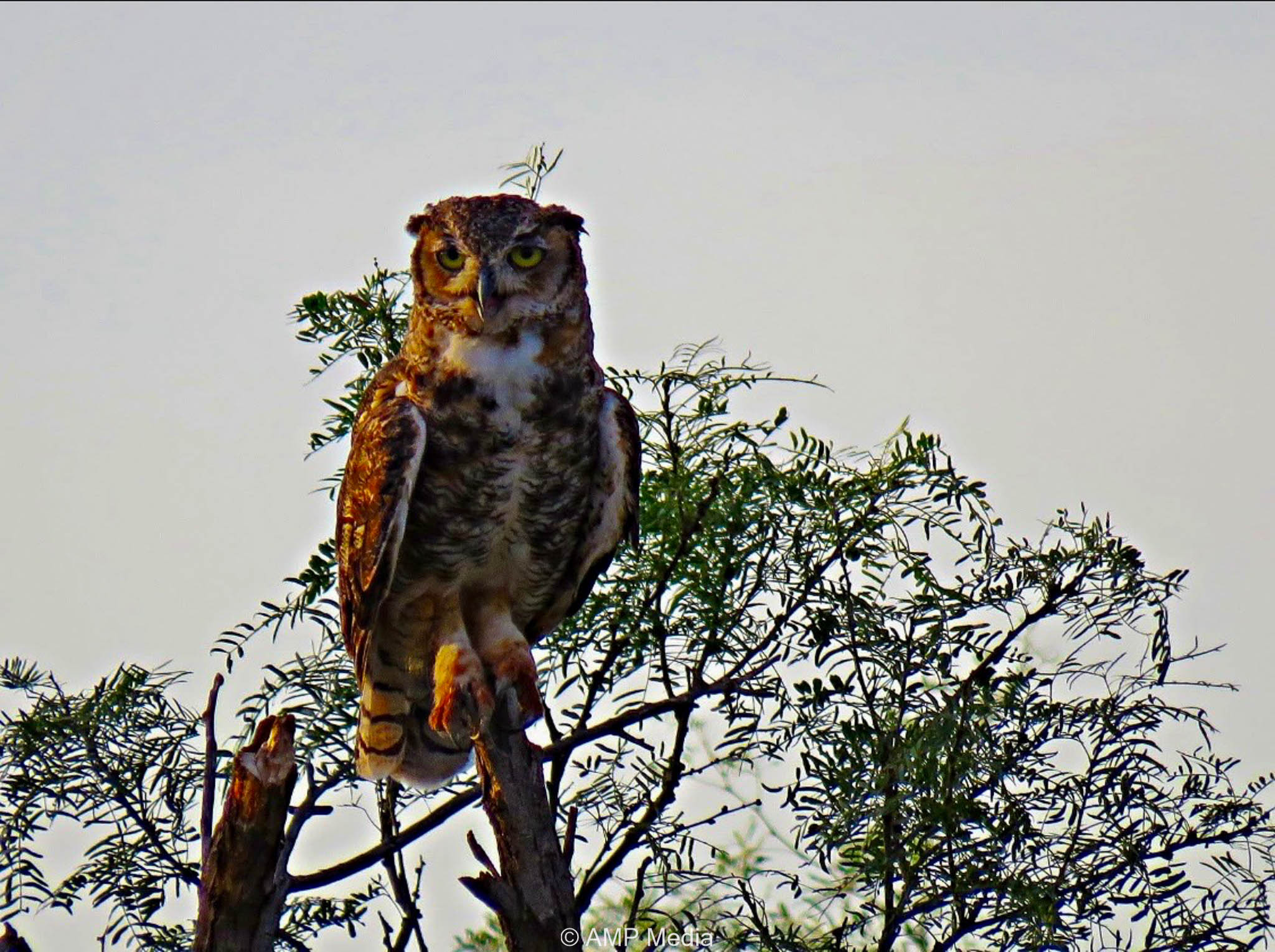Property Photo 80 Property photograph 80
