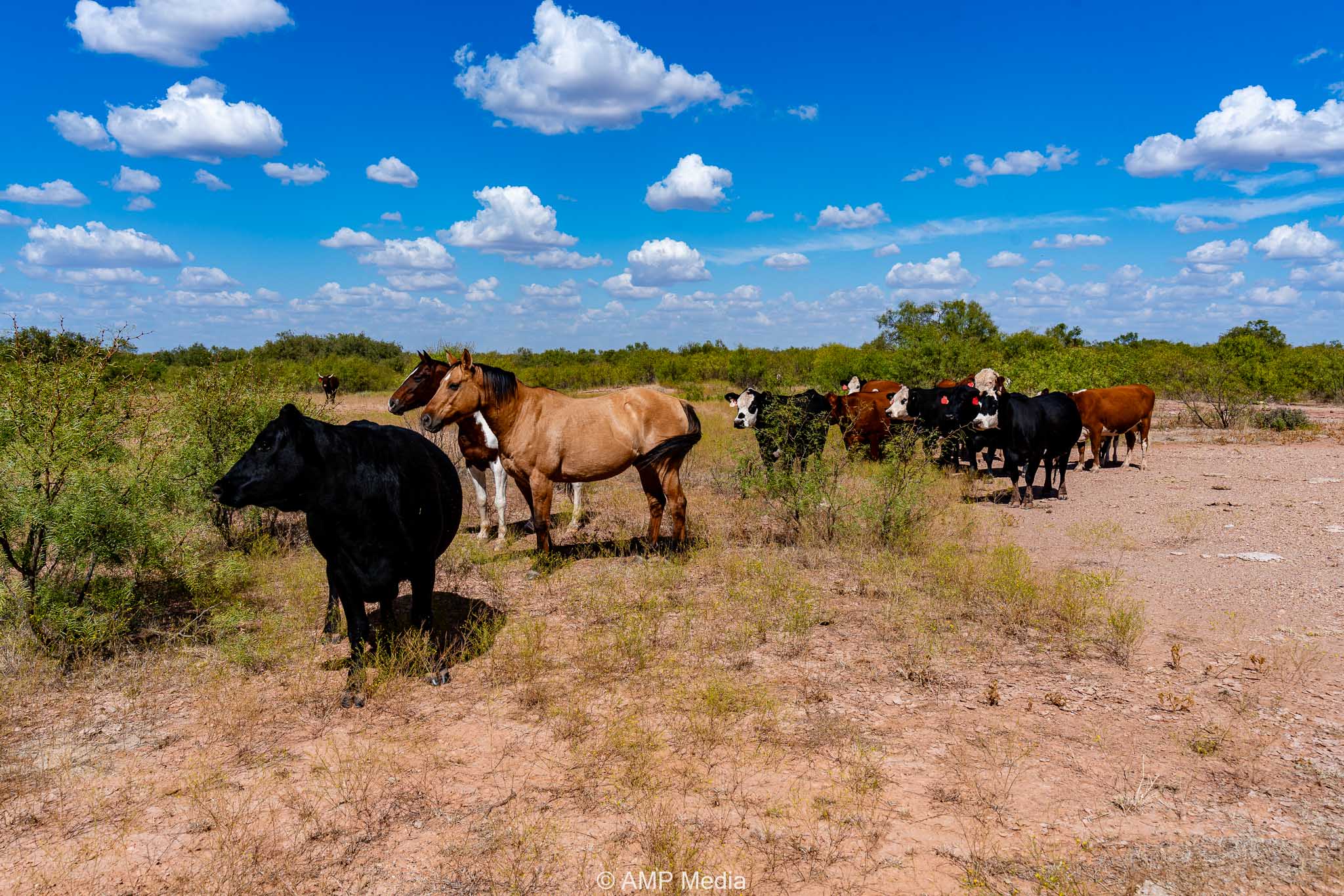 Property Photo 81 Property photograph 81