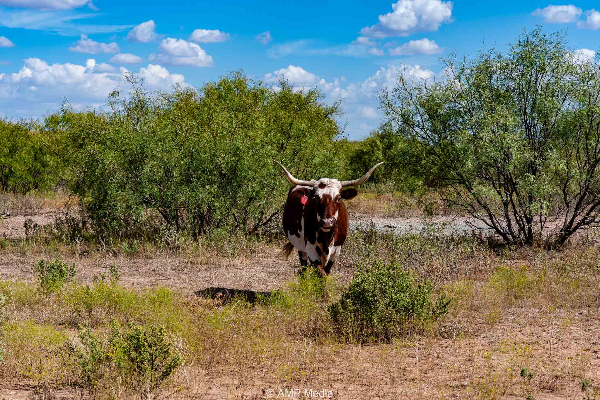 Property Photo 82 Property photograph 82