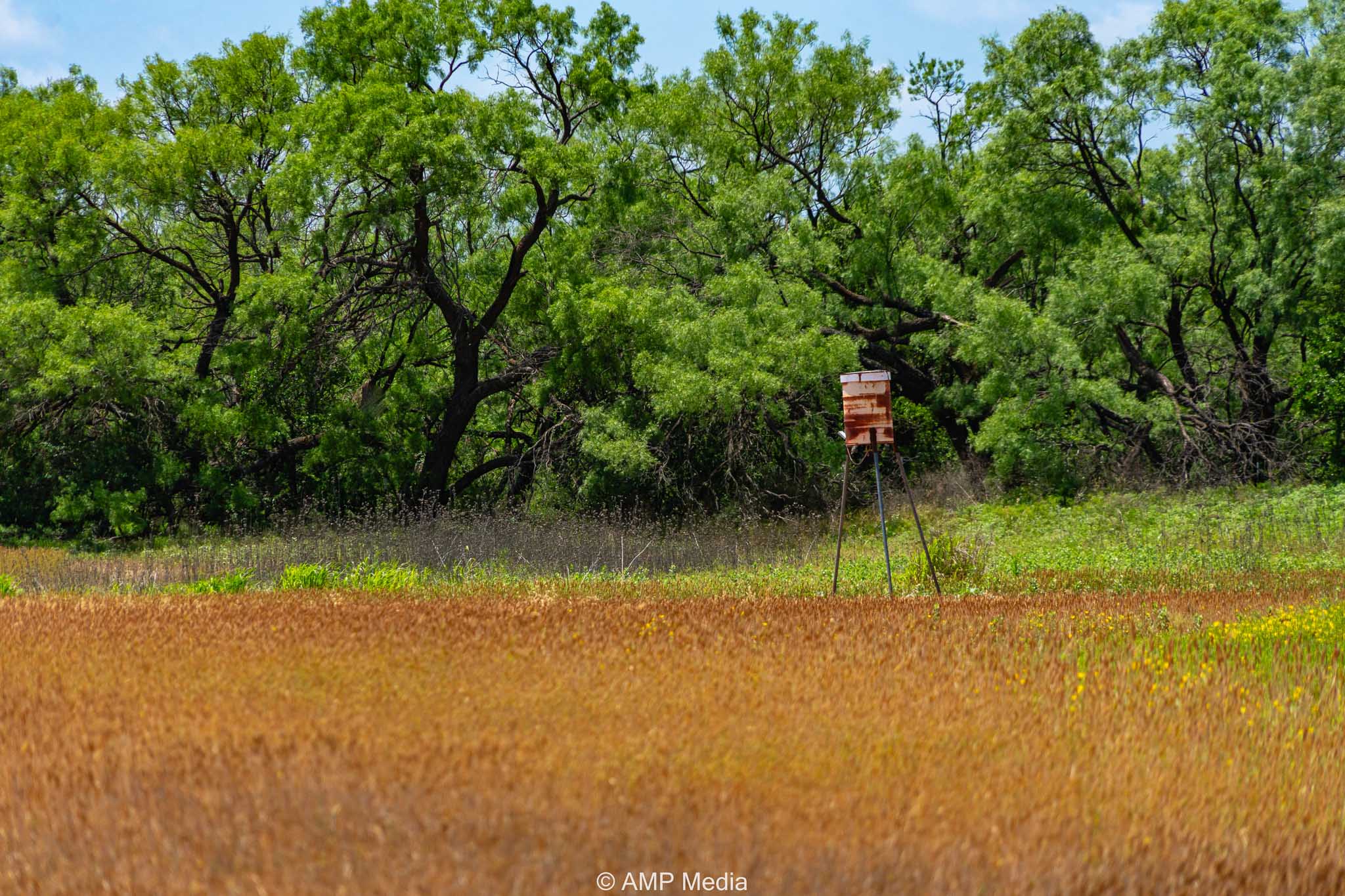 Property Photo 09 Property photograph 09