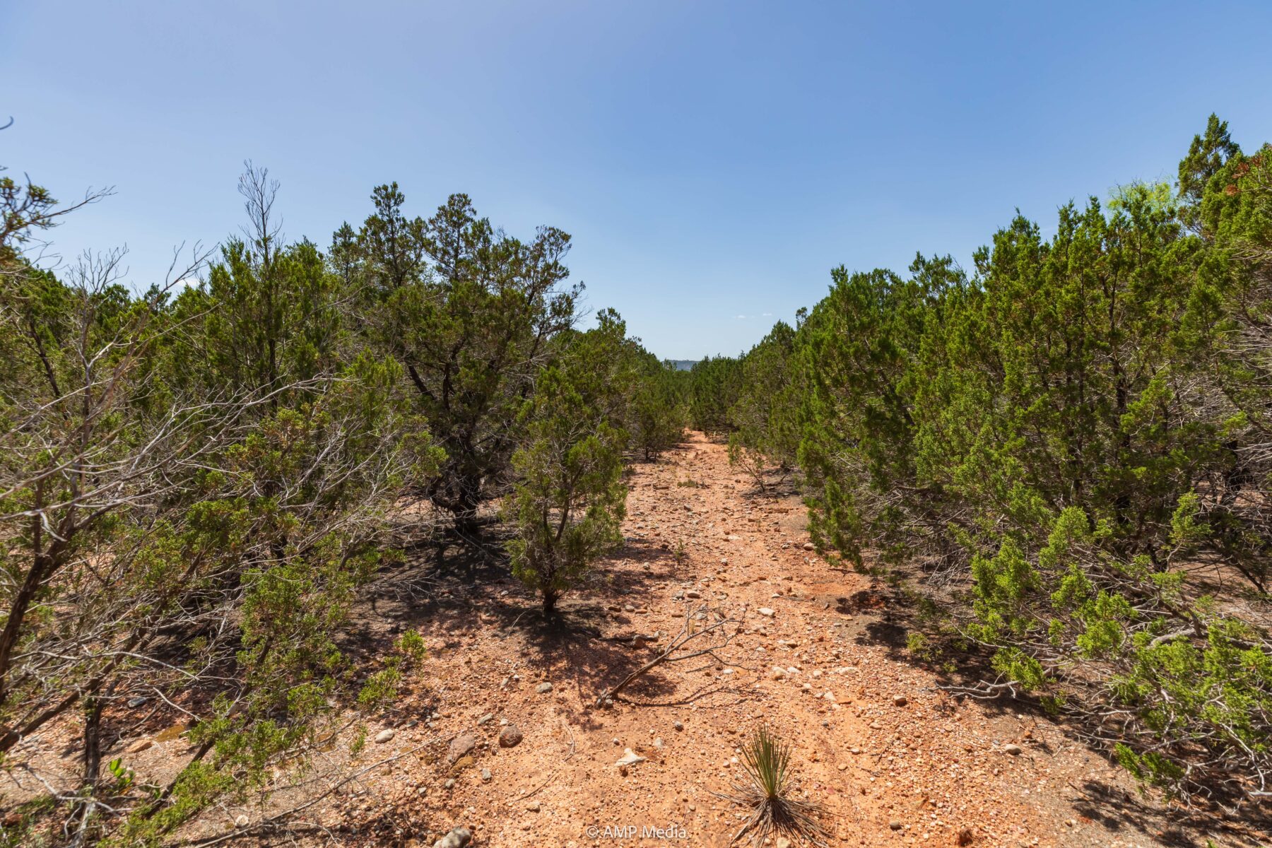 Property Photo 09 Property photograph 09