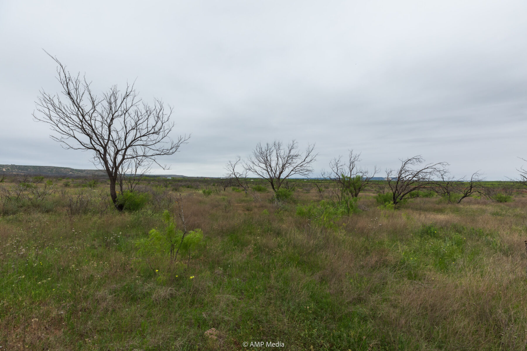 Property Photo 09 Property photograph 09
