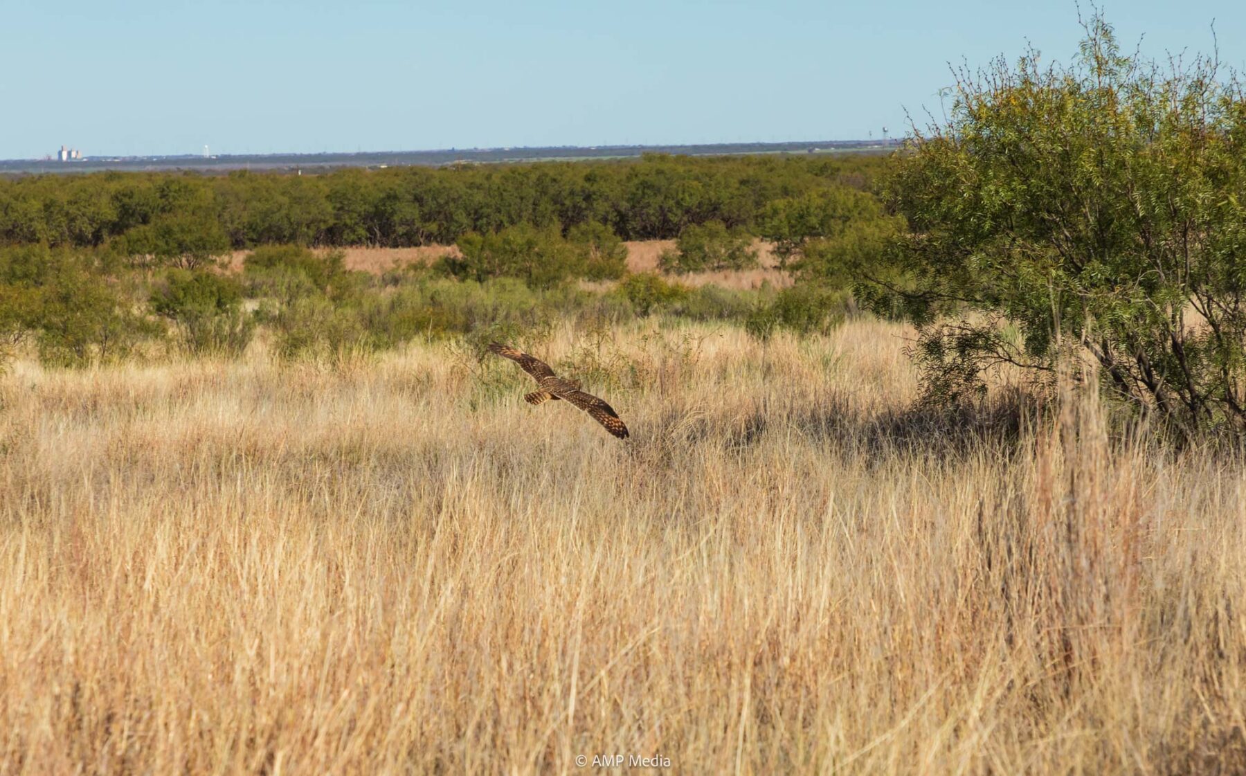 Property Photo 09 Property photograph 09